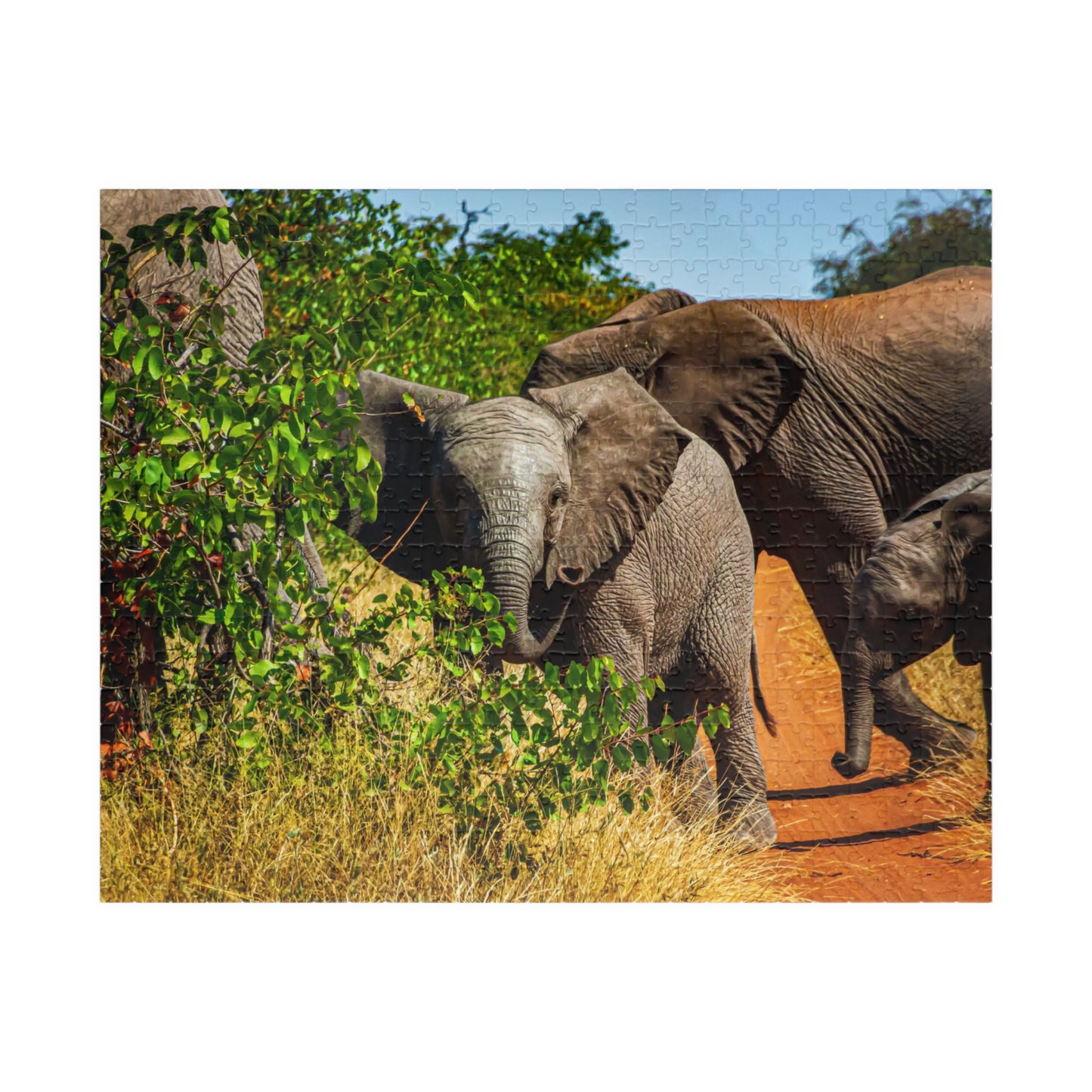 Young Elephant Jigsaw Puzzle