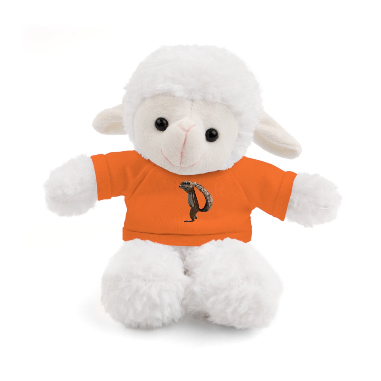 Teddy Bear with Tee