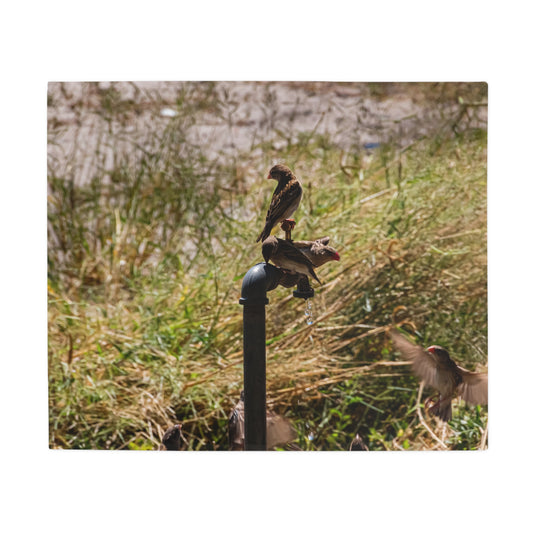 African Birds Blanket 50" × 60"