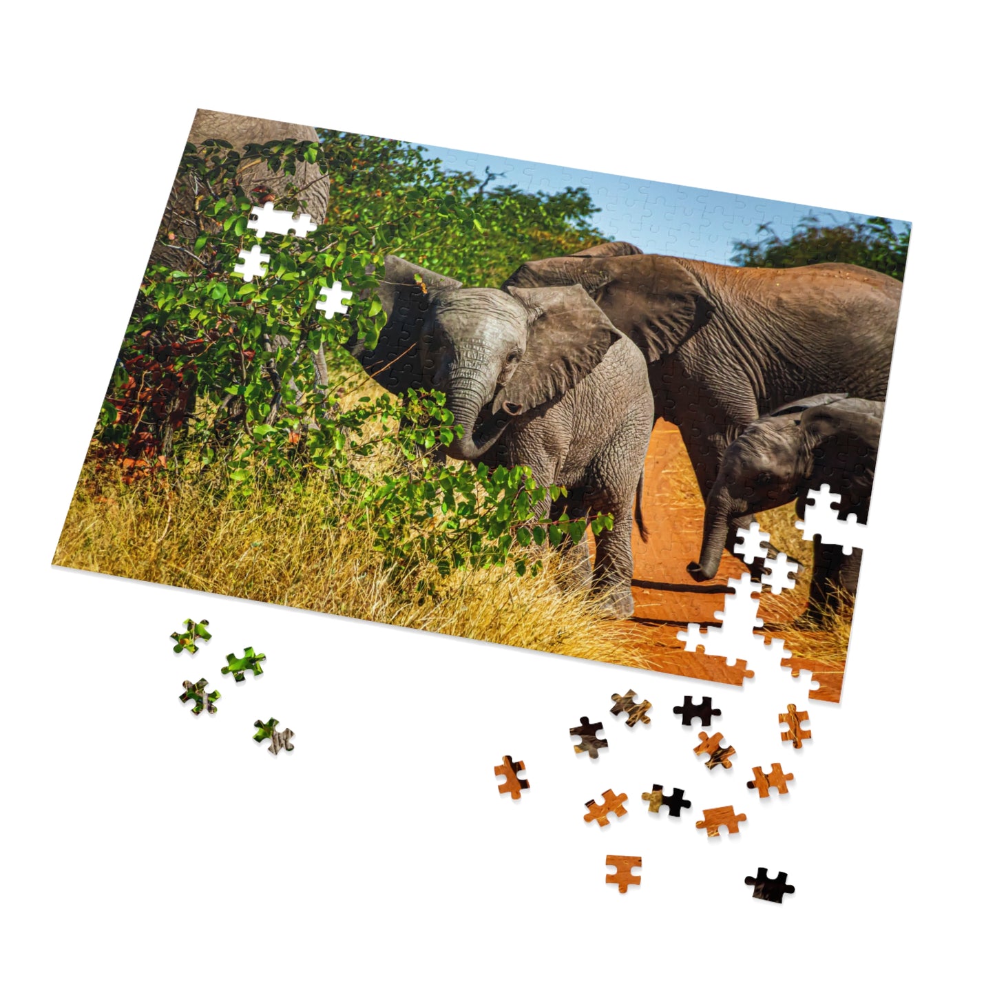 Young Elephant Jigsaw Puzzle with Tin