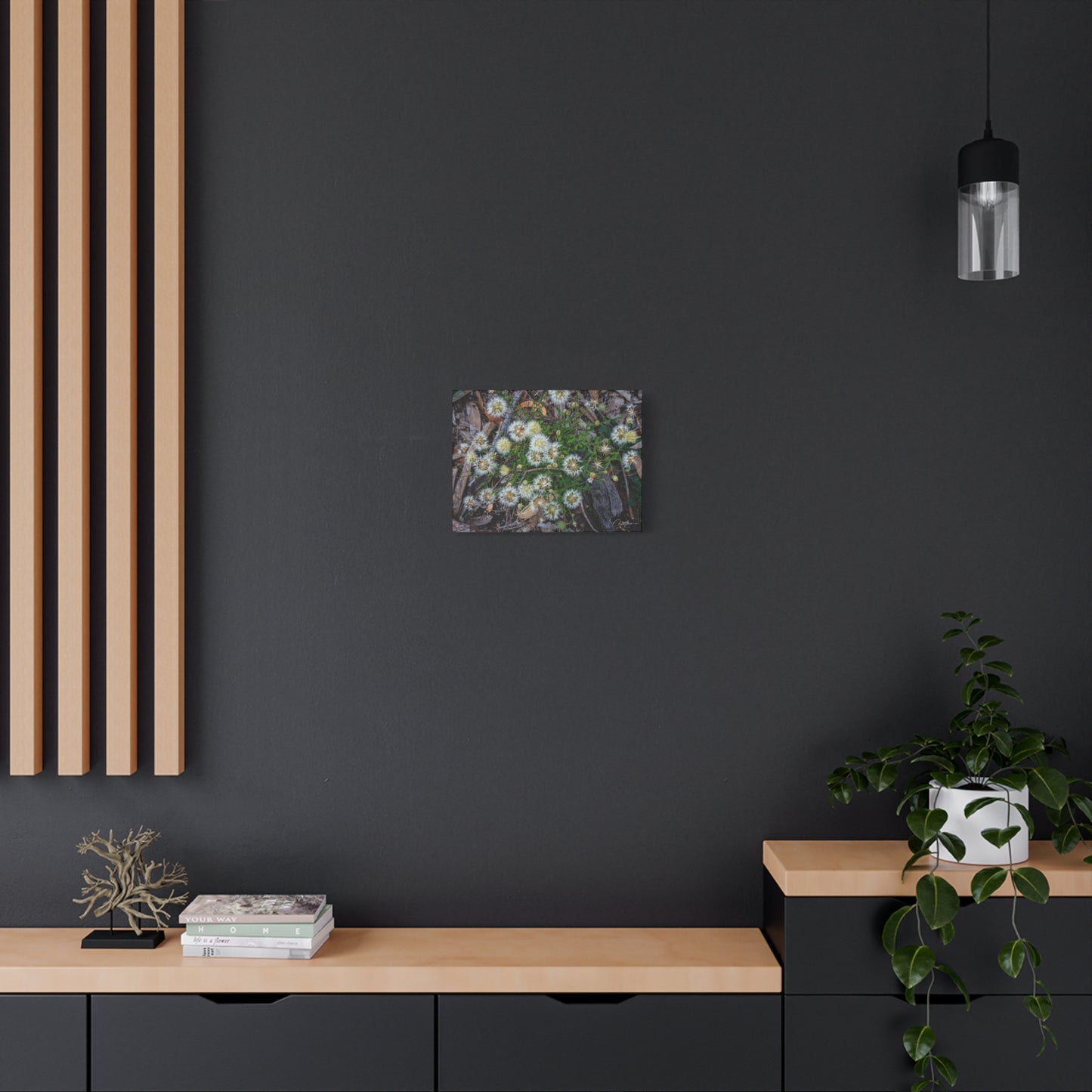 Matte Canvas, Stretched, 1.25" - Australian Wildflowers