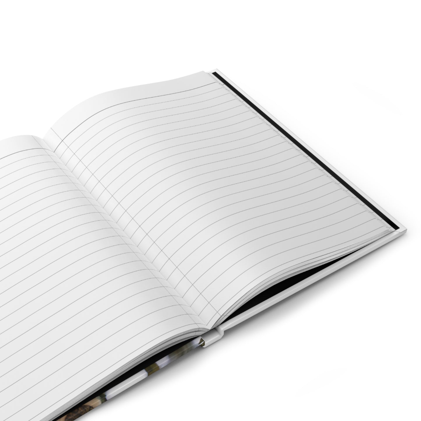 Ring-Tail Possum Journal