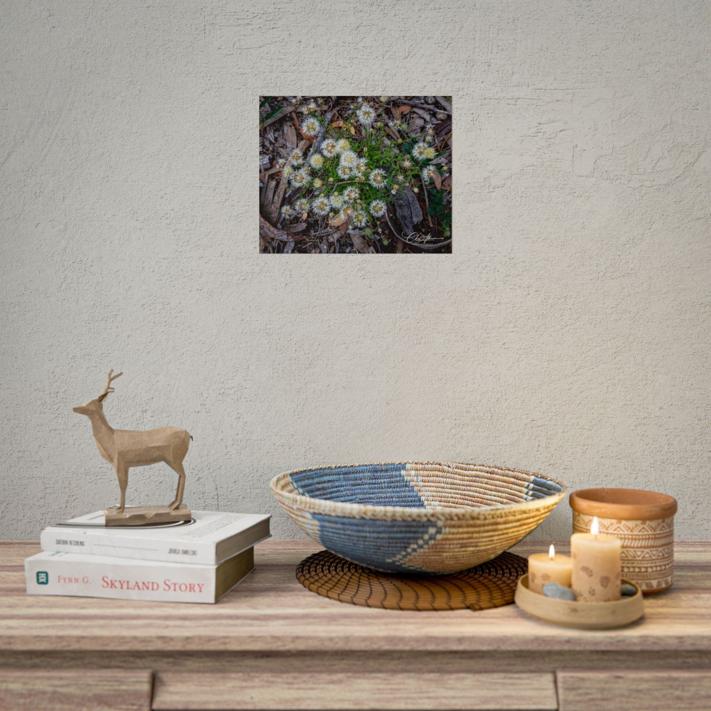 Rolled Posters - Australian Wildflowers 11″ x 9″ (Horizontal) Semi Glossy