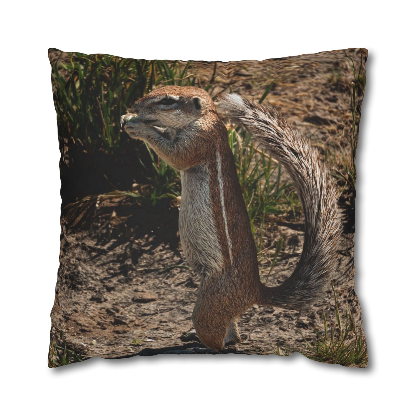 Poly Canvas Pillowcase - Ground Squirrel 26" × 26"