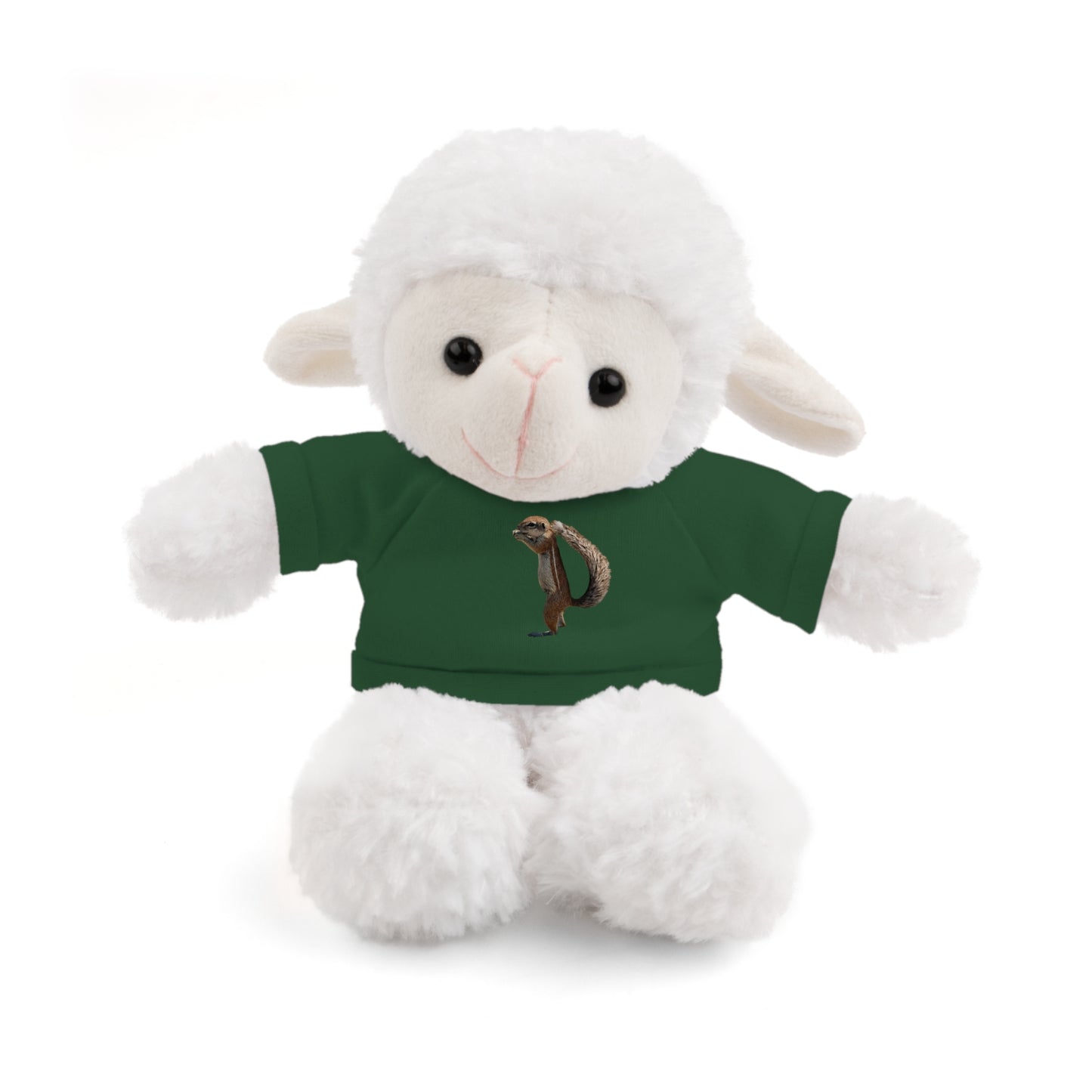 Teddy Bear with Tee