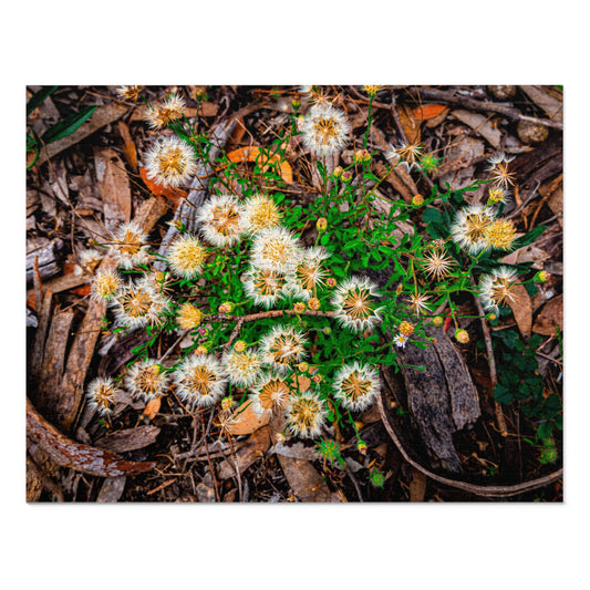 Australian Wildflower Jigsaw Puzzle 2000 piece 14" × 11" (252 pcs)