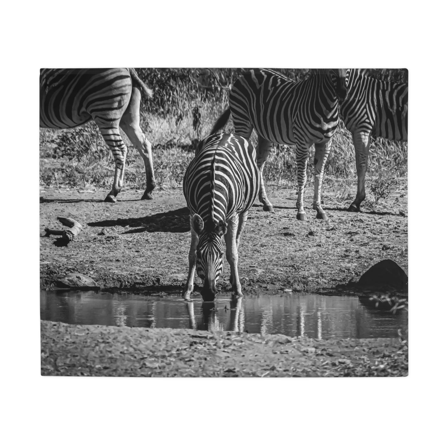 Zebra Fleece Blanket B&W 50" × 60"
