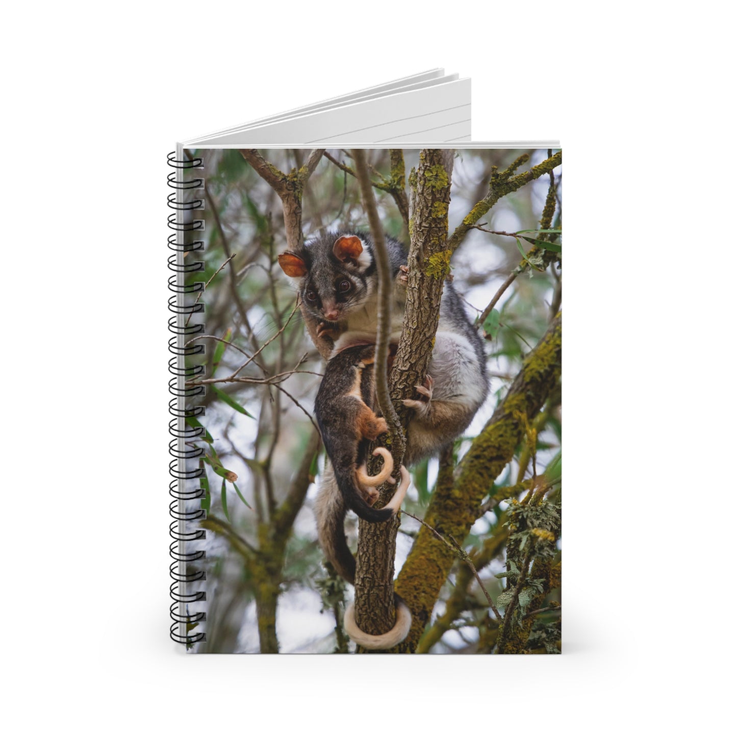Spiral Notebook - Ruled Line - Possum and Joeys One Size