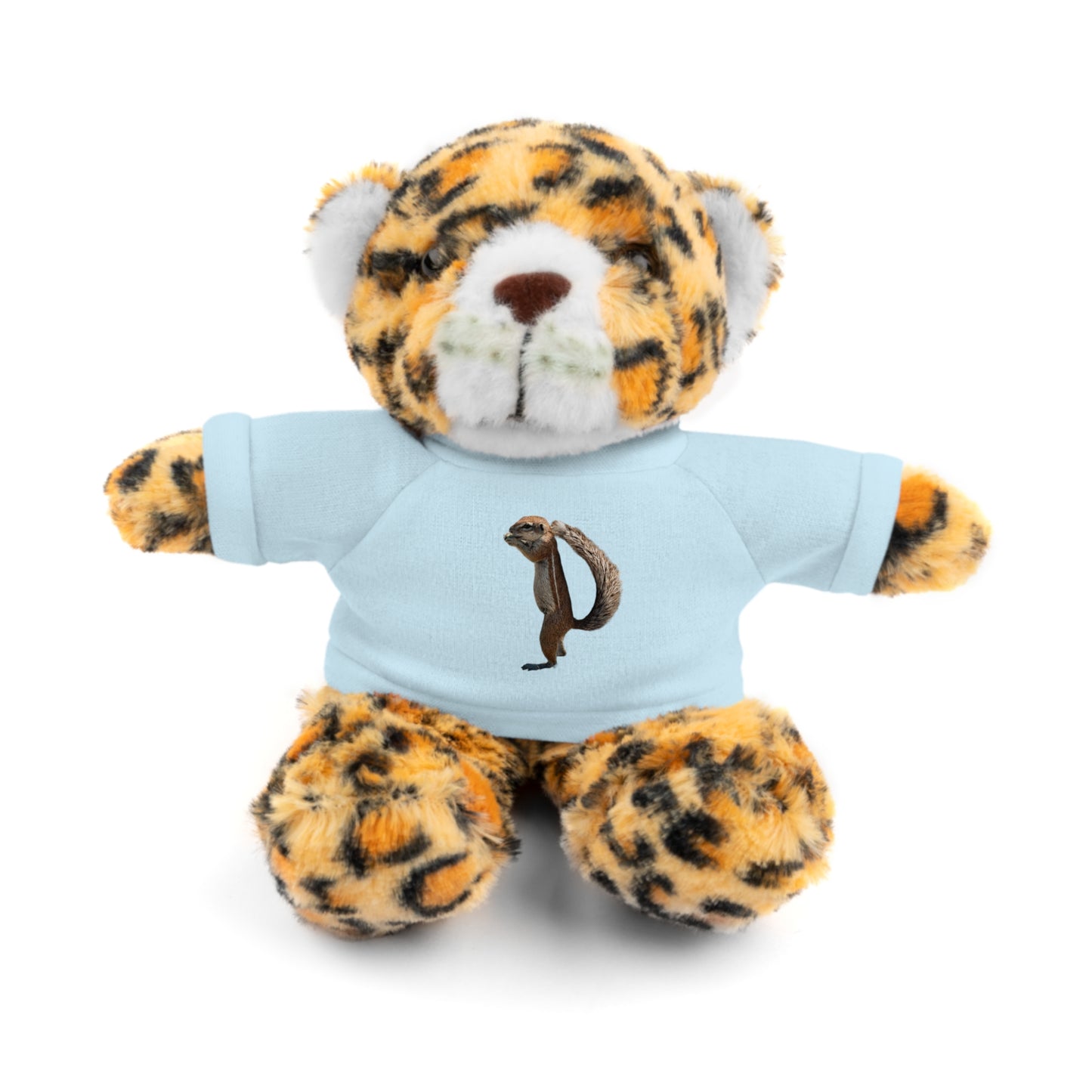 Teddy Bear with Tee