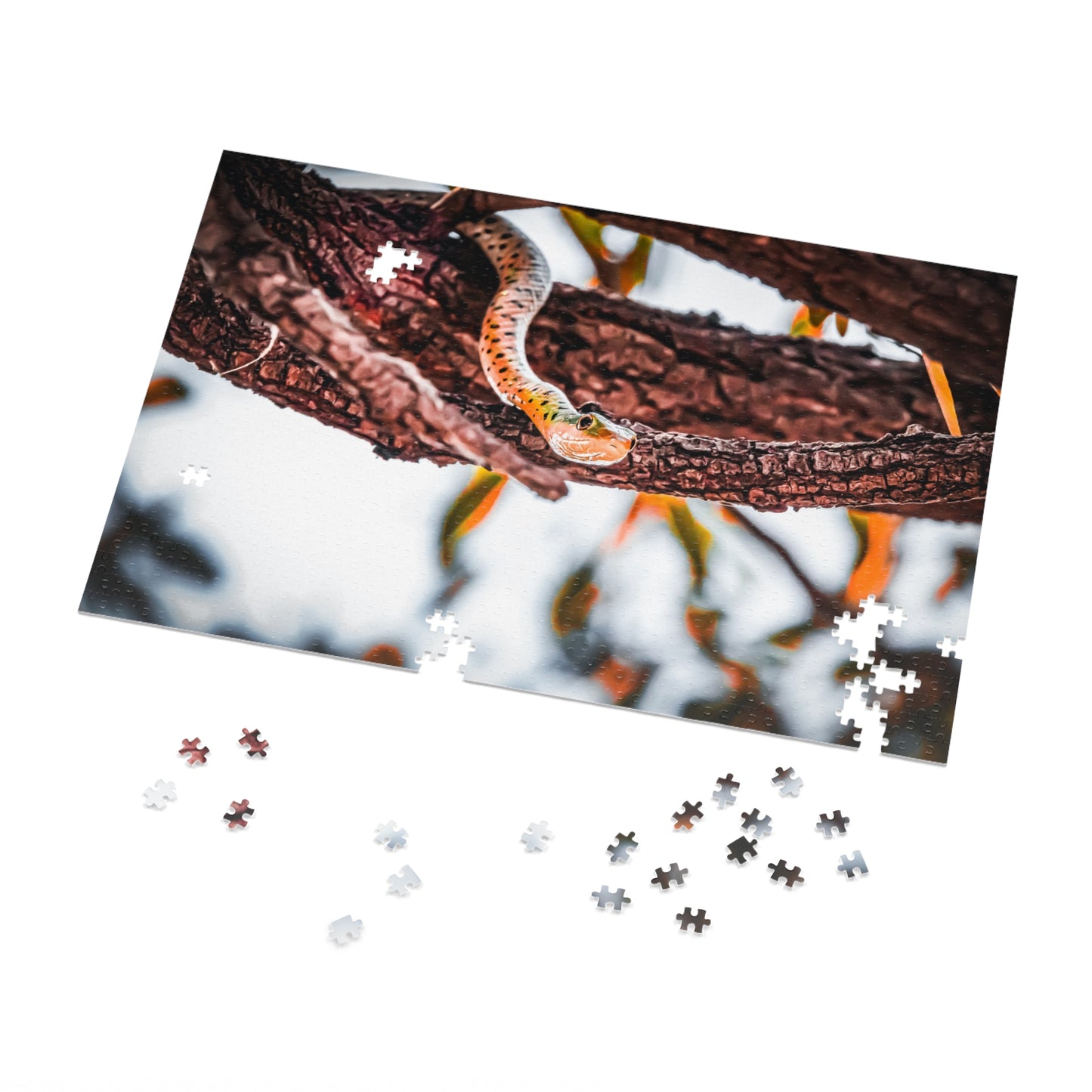 Spotted Bush Snake Puzzle with Tin