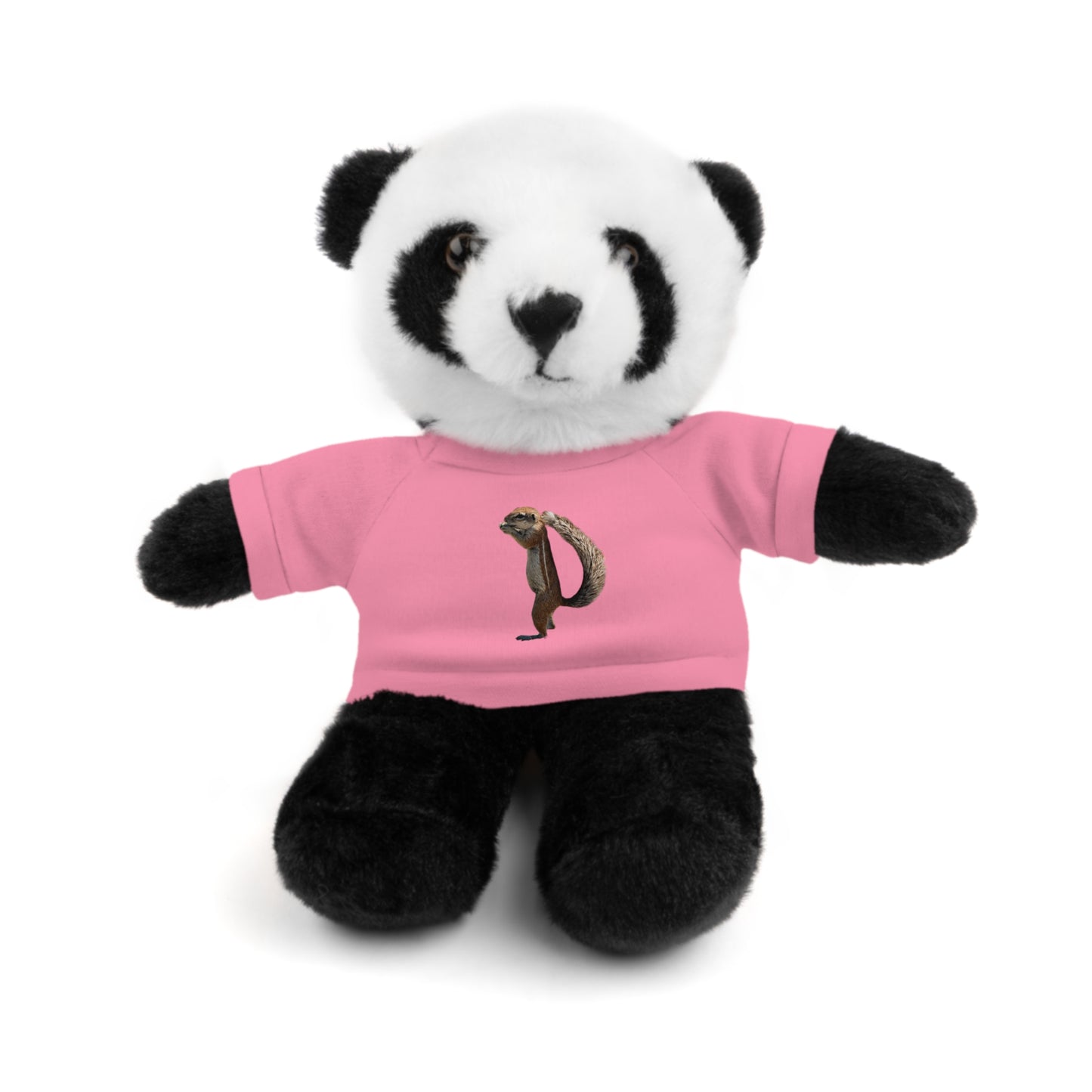 Teddy Bear with Tee