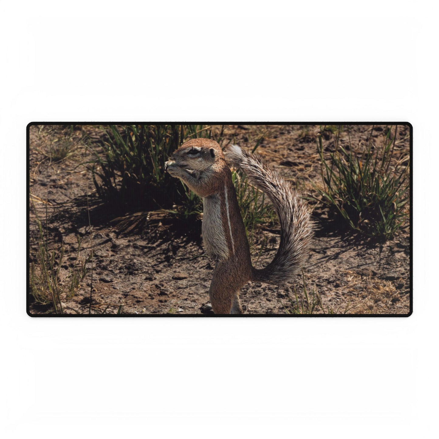 Ground Squirrel Desk Mats