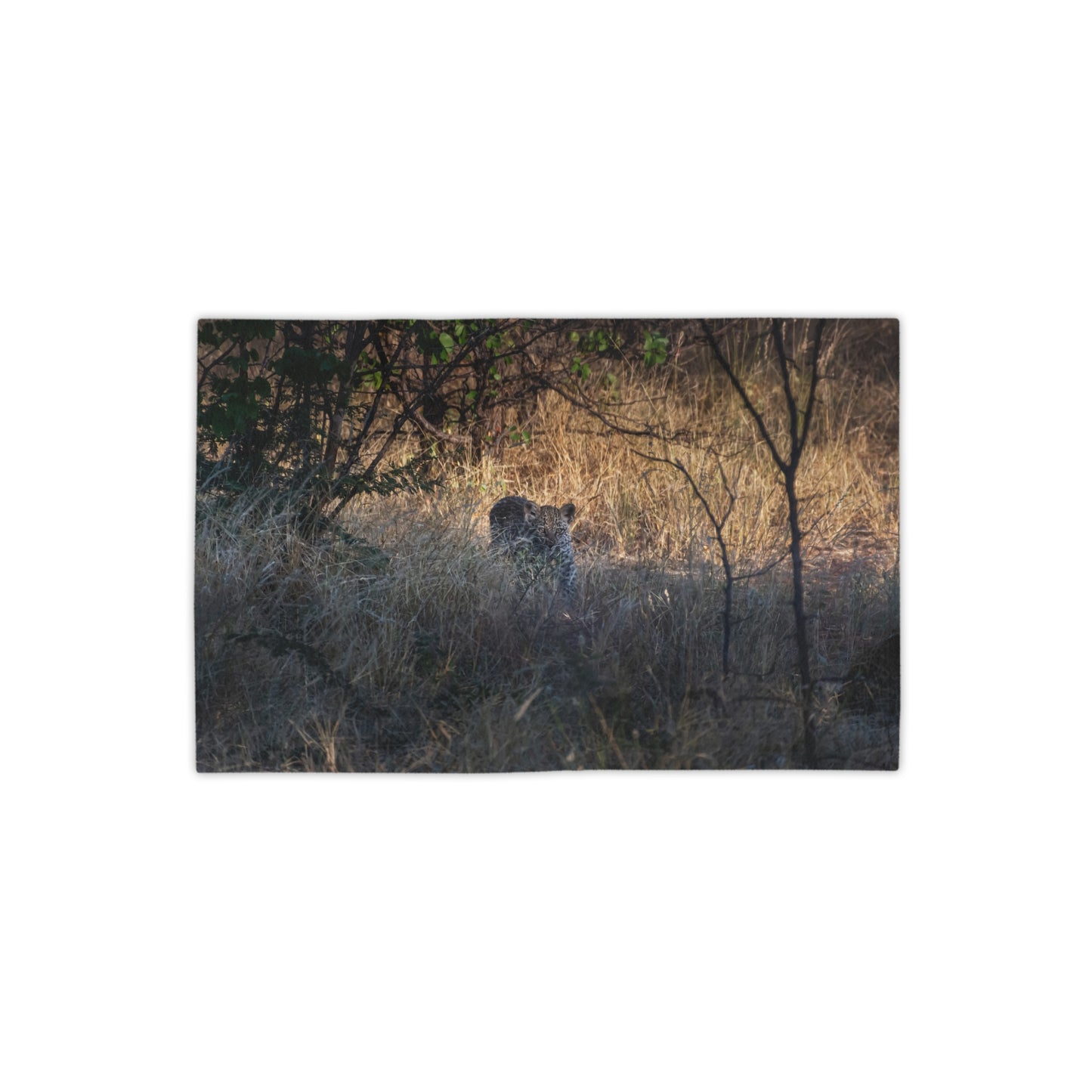 Leopard Cub Beach Towels 18" x 27"