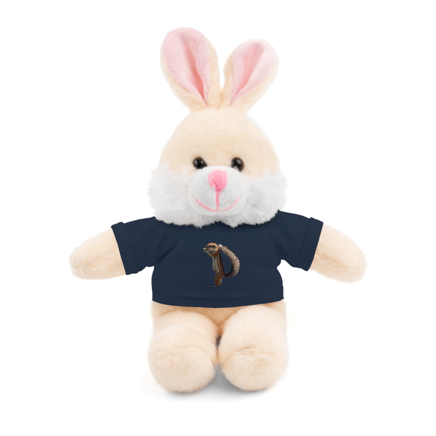 Teddy Bear with Tee