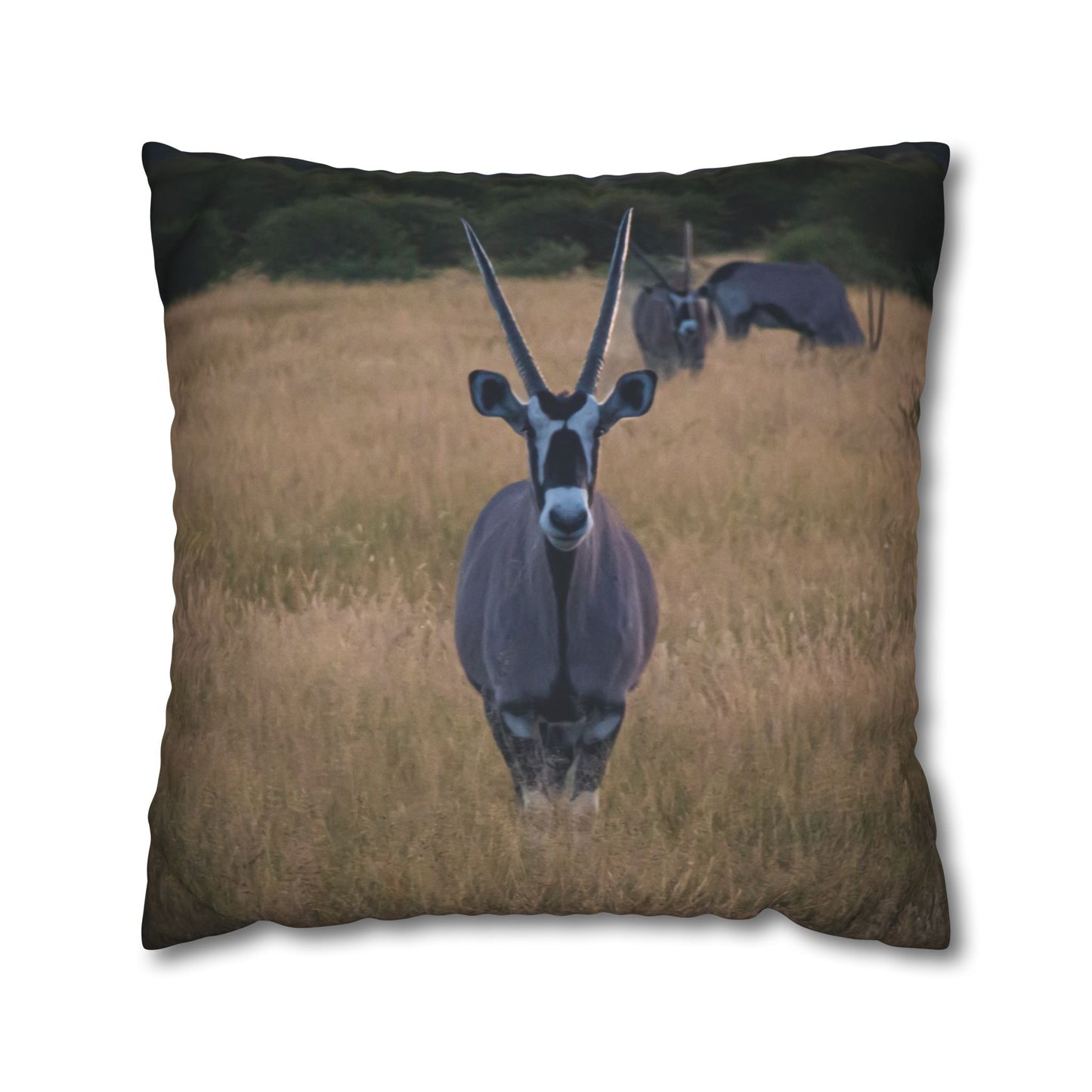Gemsbok Oryx Pillowcase 24" × 24"