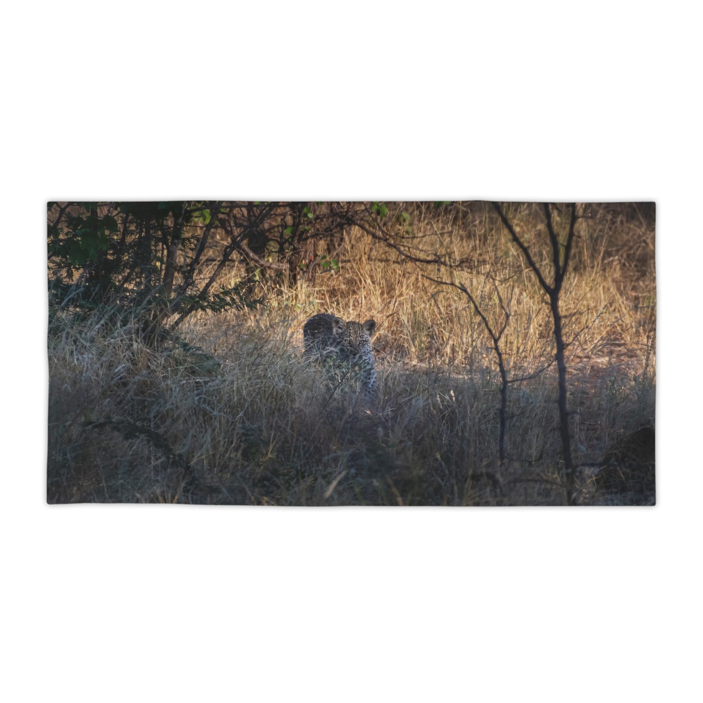 Leopard Cub Beach Towels 30" × 60"