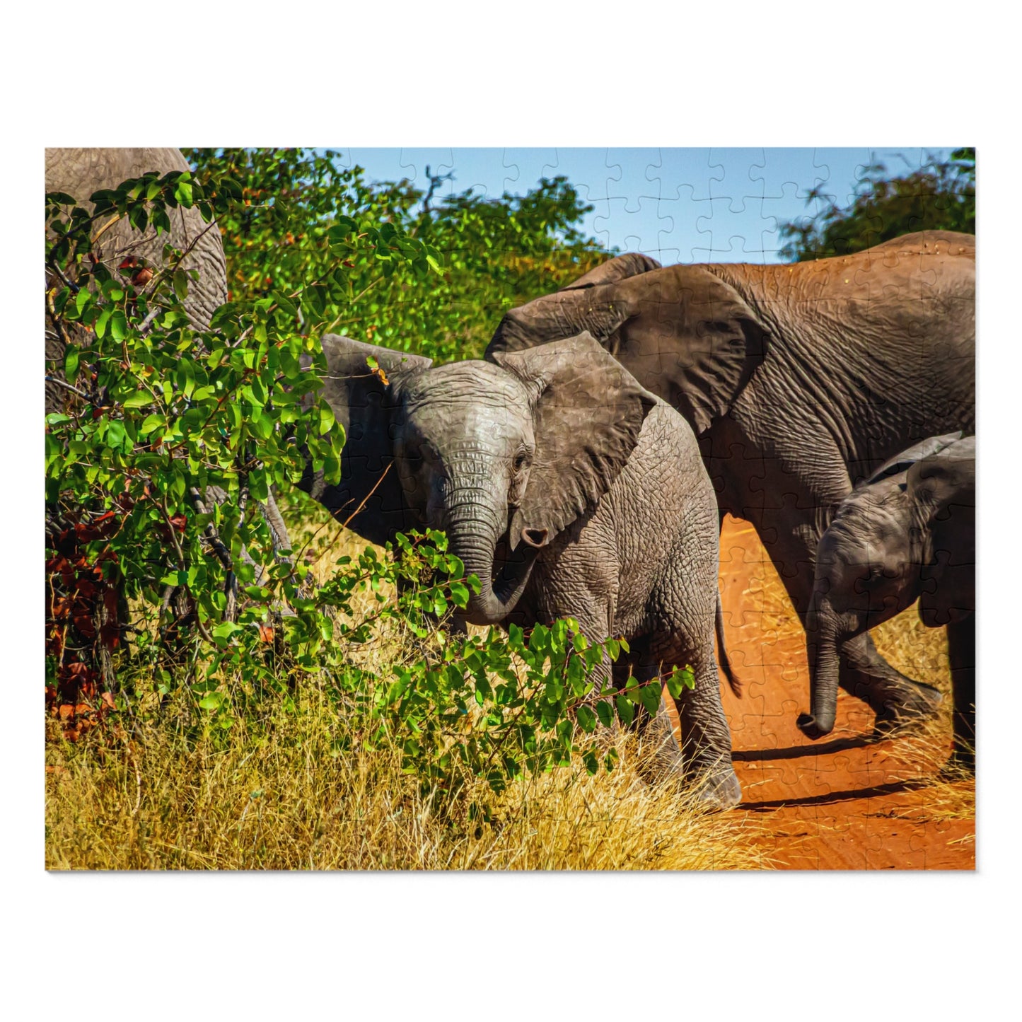 Young Elephant Jigsaw Puzzle with Tin