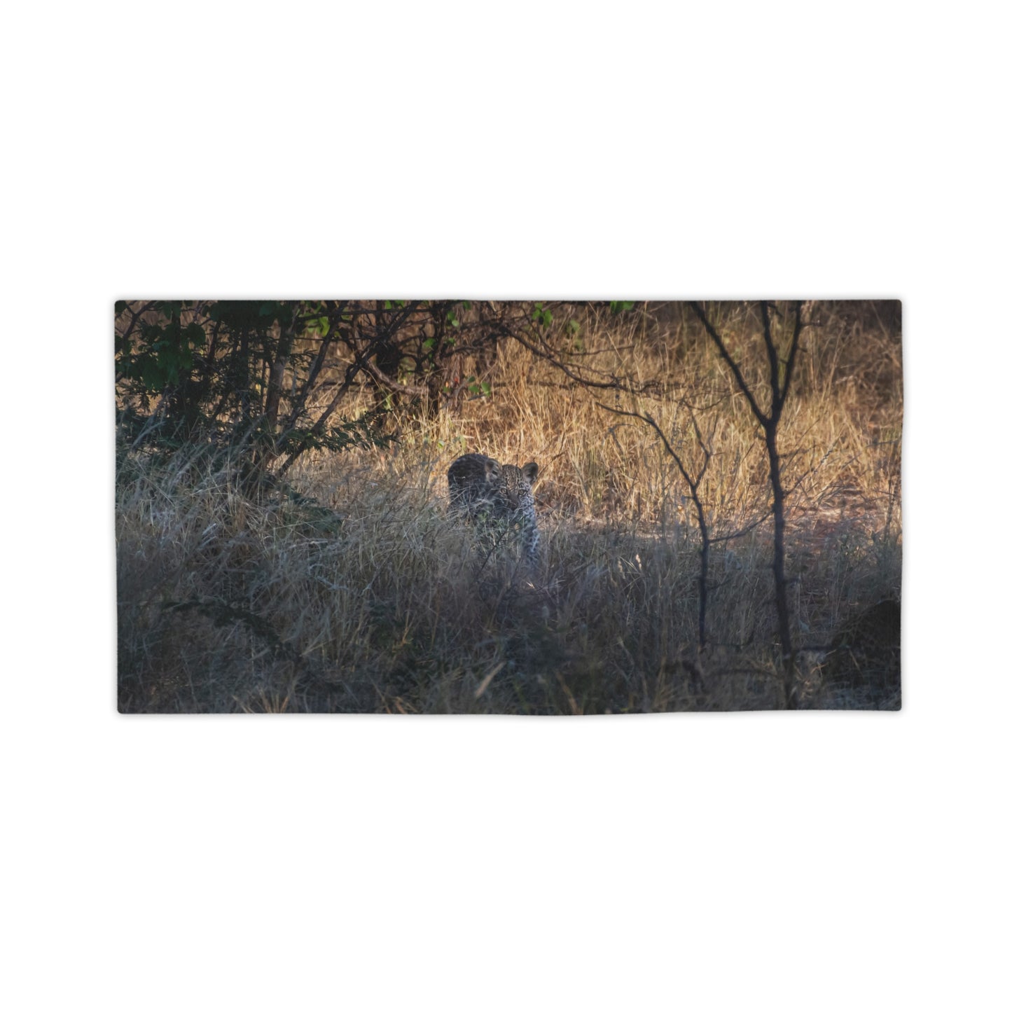 Leopard Cub Beach Towels 24" x 44"