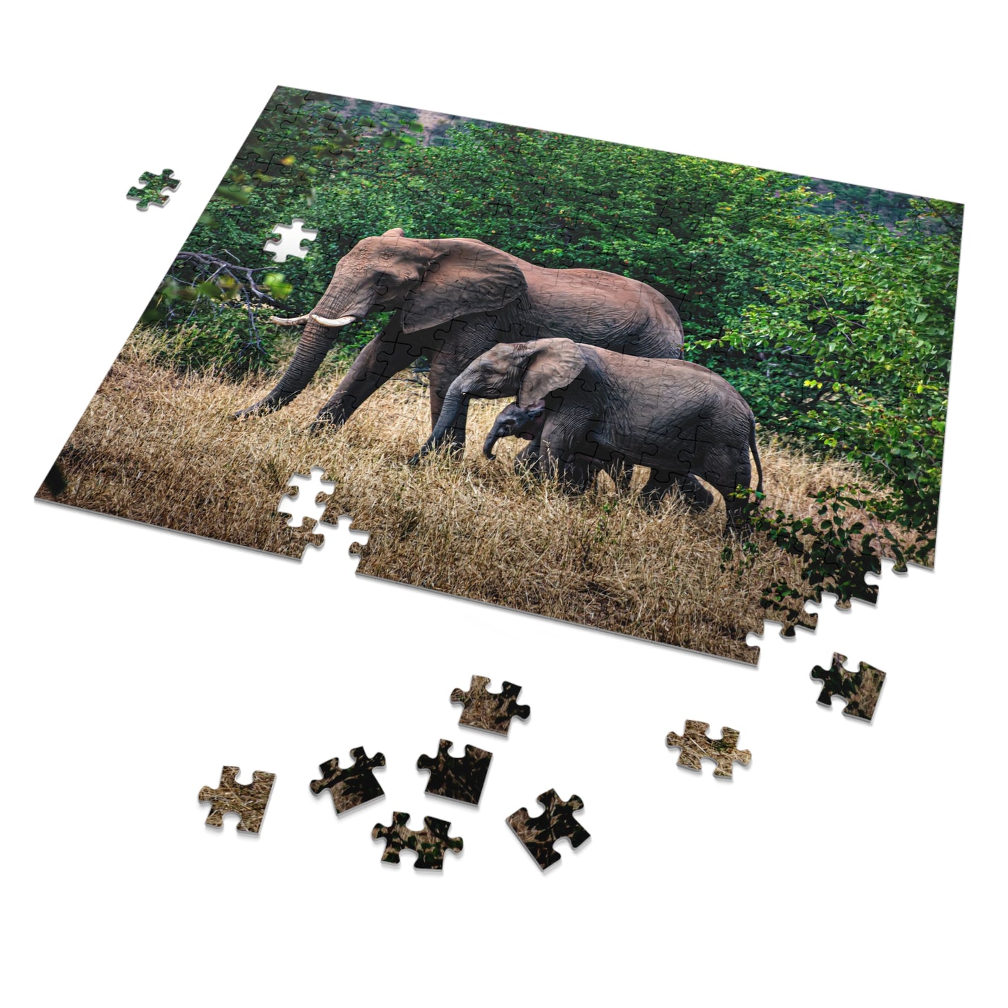 Jigsaw Puzzle (30, 110, 252, 500, 1000, 2000 Piece) - Elephant Family