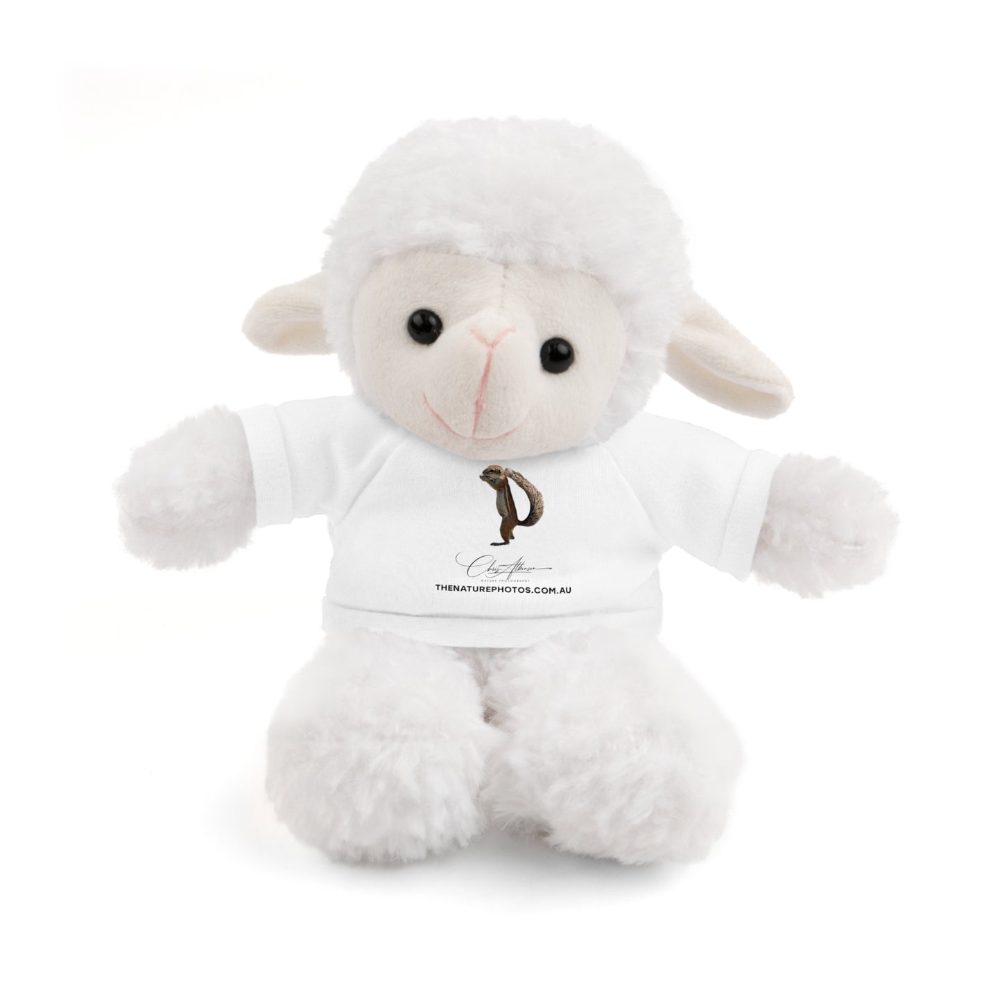 Teddy Sheep with Tee White Sheep 8"