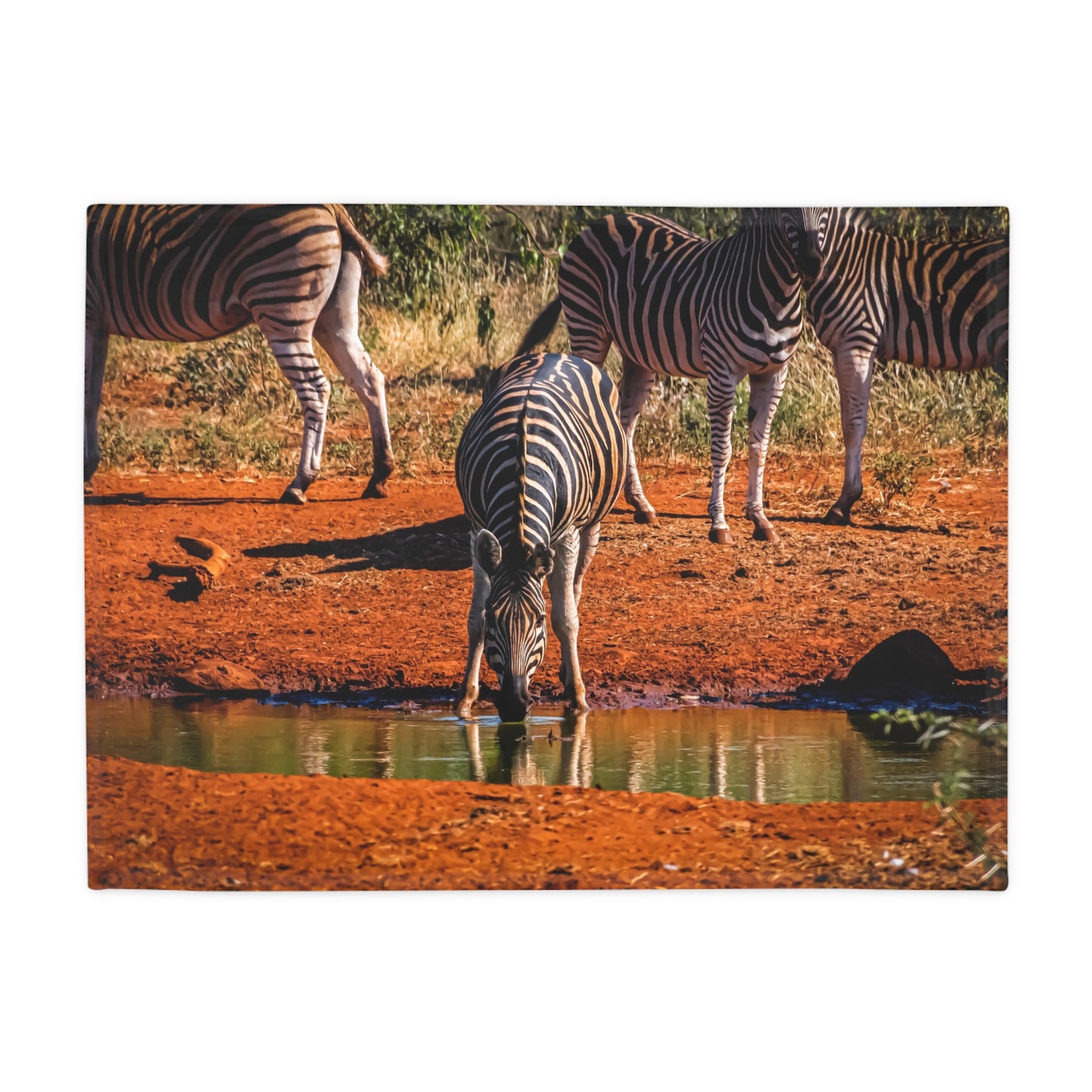 Zebra Fleece Blanket 30" × 40"