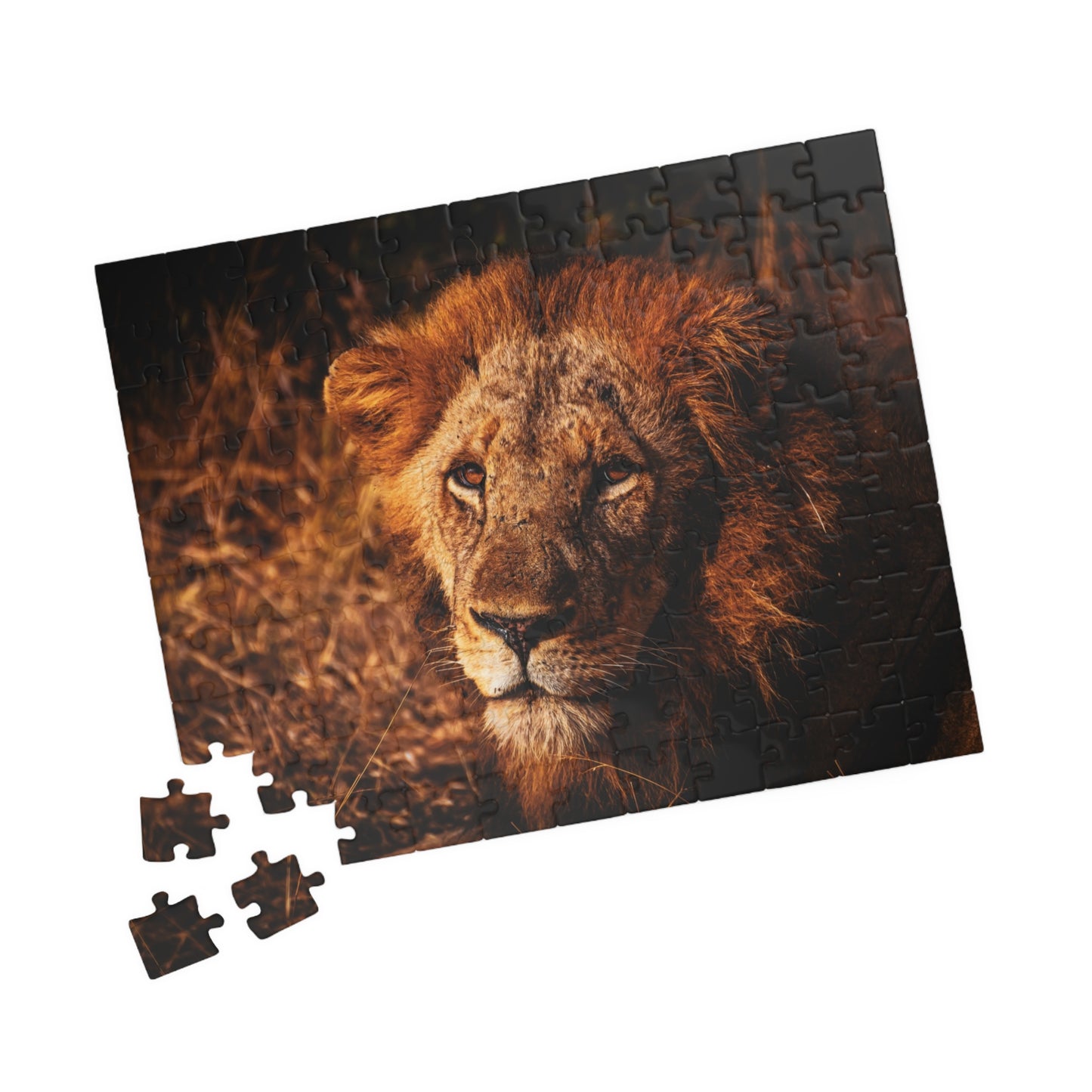 Majestic Old Lion Jigsaw Puzzle
