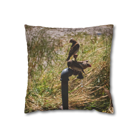 Poly Canvas Pillowcase - Birds at a Tap 16" × 16"