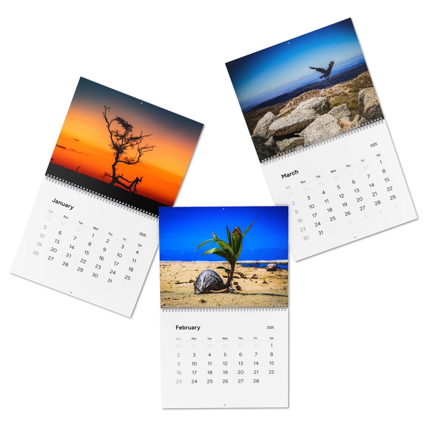 2025 Nature Wildlife Wall Calendar