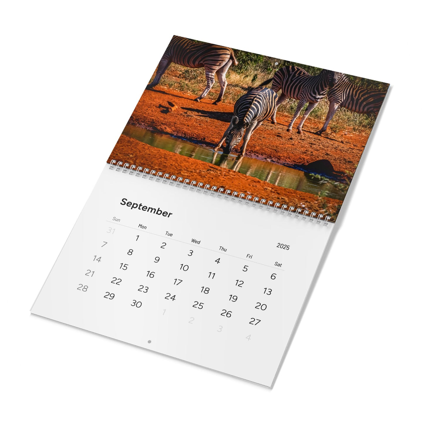 2025 Nature Wildlife Wall Calendar