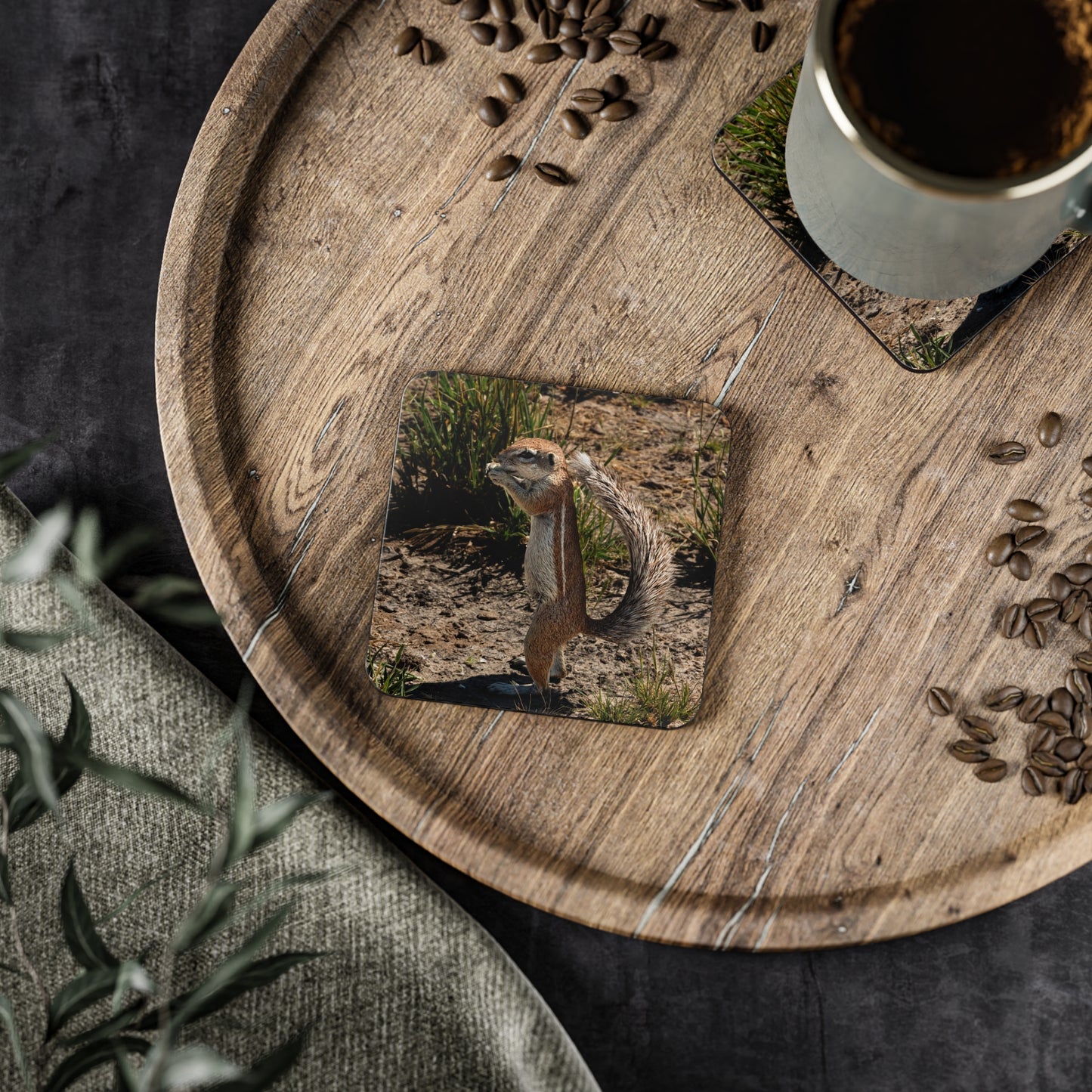 Ground Squirrel Coasters Square 3.7" x 3.7" 1pc