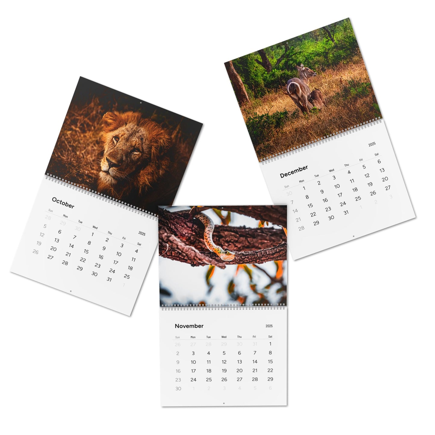 2025 Nature Wildlife Wall Calendar
