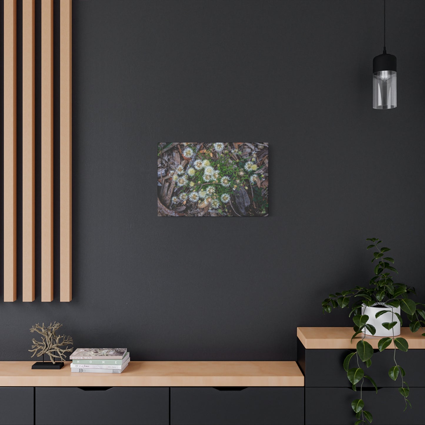 Matte Canvas, Stretched, 1.25" - Australian Wildflowers