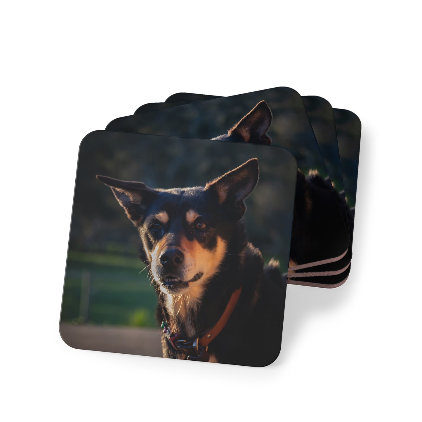 Australian Kelpie Coasters Square 3.7" x 3.7" 4pcs