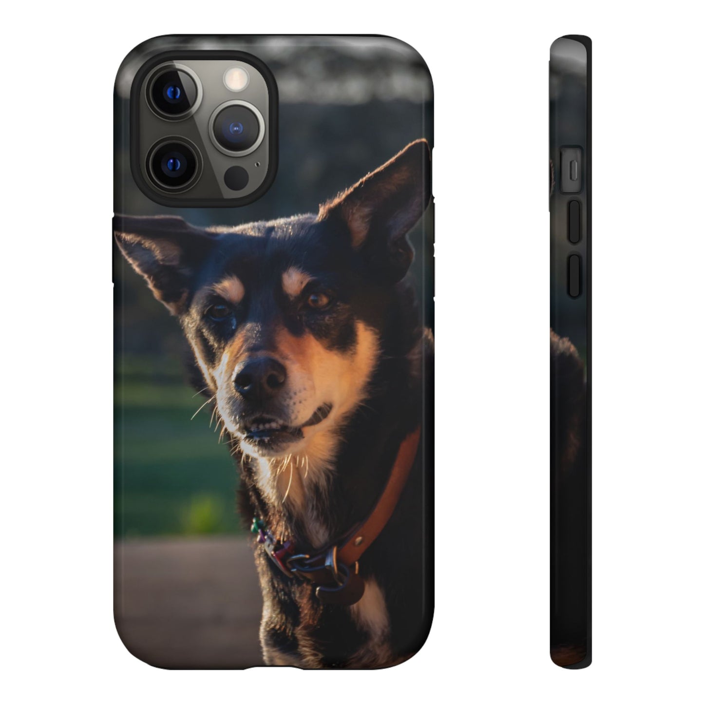 Tough Case - Saba the Kelpie iPhone 12 Pro Max Glossy