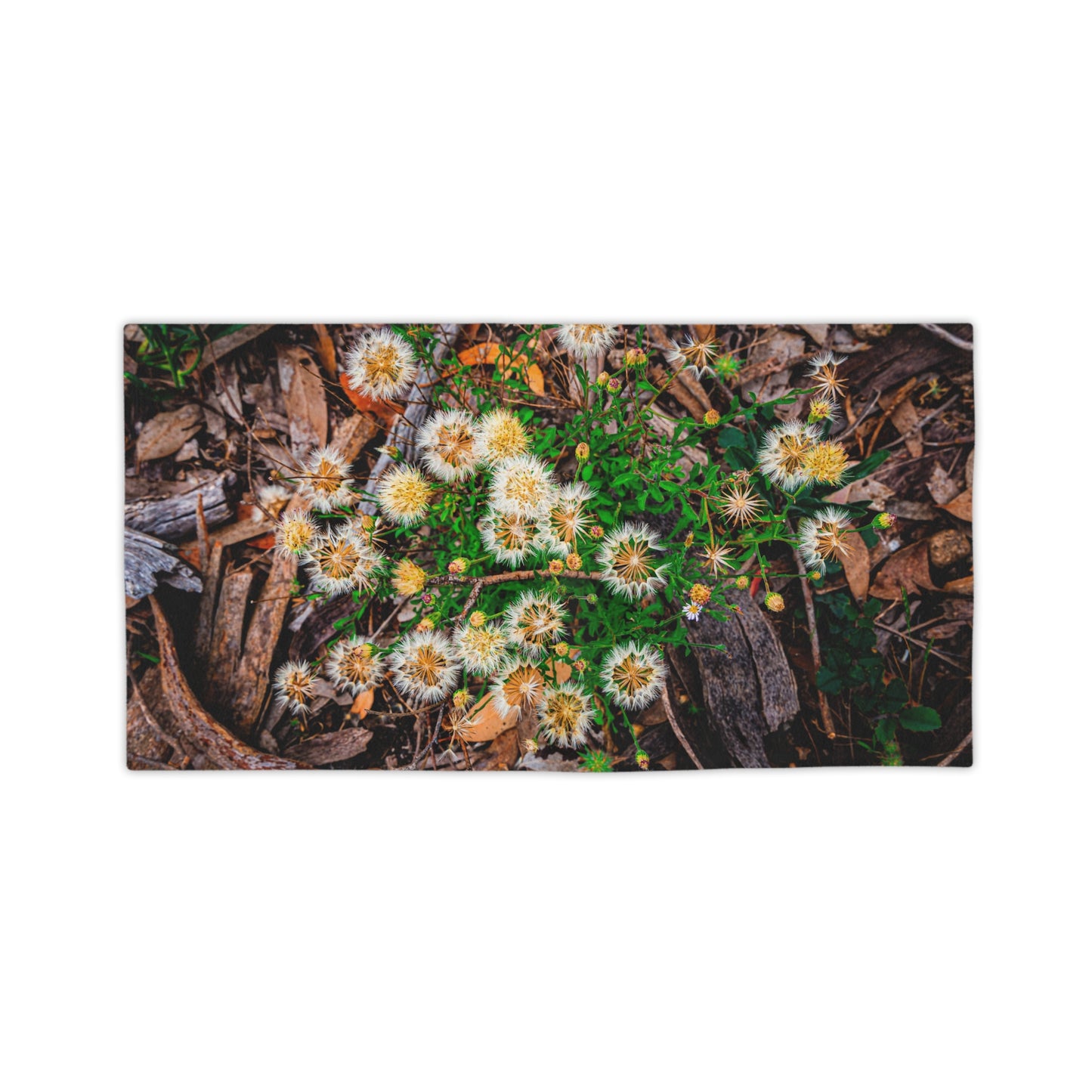 Australian Wildflower Beach Towels