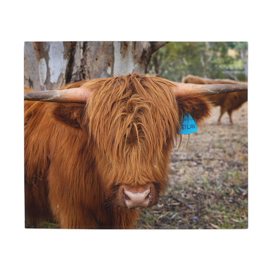 Scottish Highland Blanket 50" × 60"