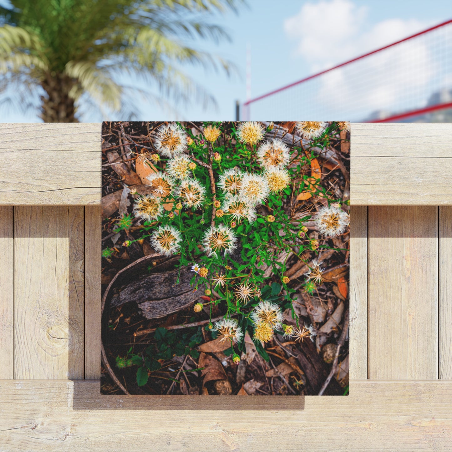 Australian Wildflower Beach Towels