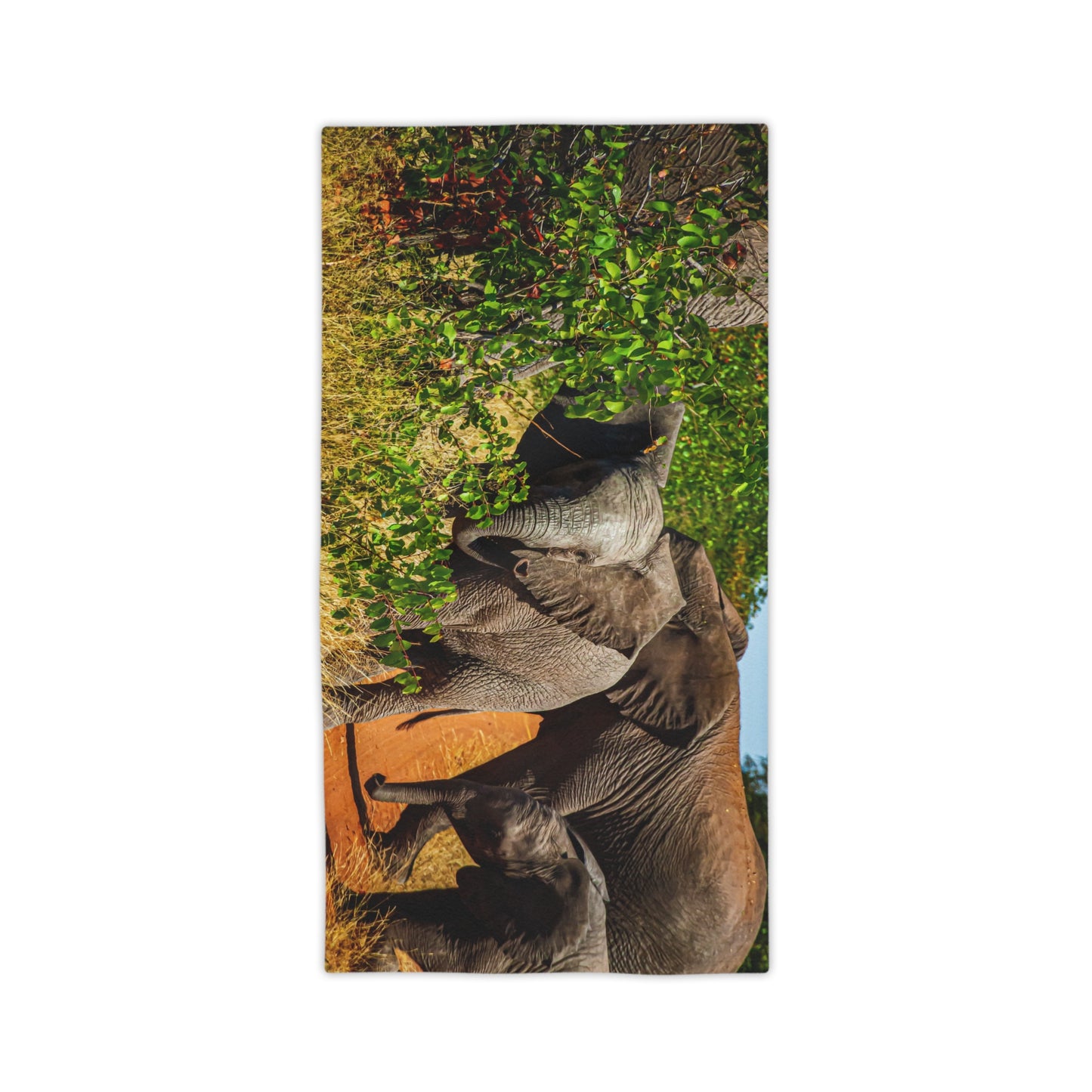 African Elephant Beach Towels