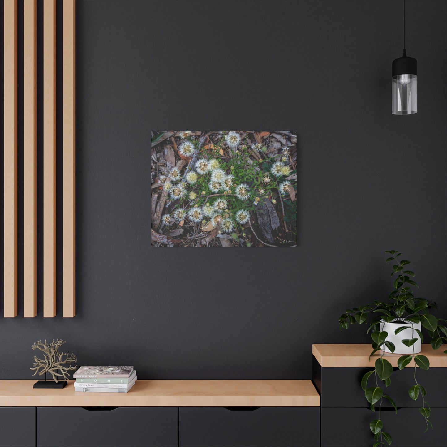 Matte Canvas, Stretched, 1.25" - Australian Wildflowers