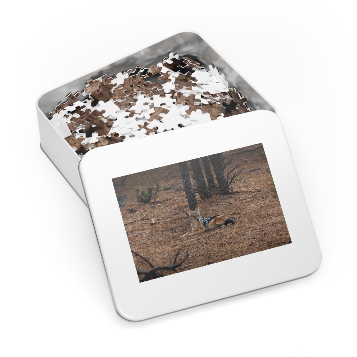 Jackal Photo Jigsaw Puzzle with Tin 30" × 20" (1000 pcs)