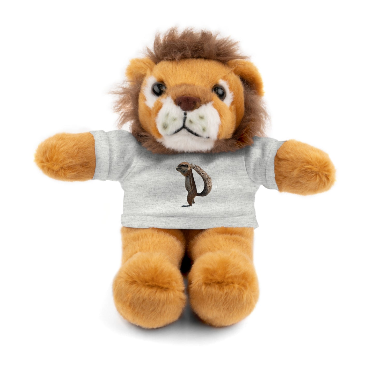 Teddy Bear with Tee