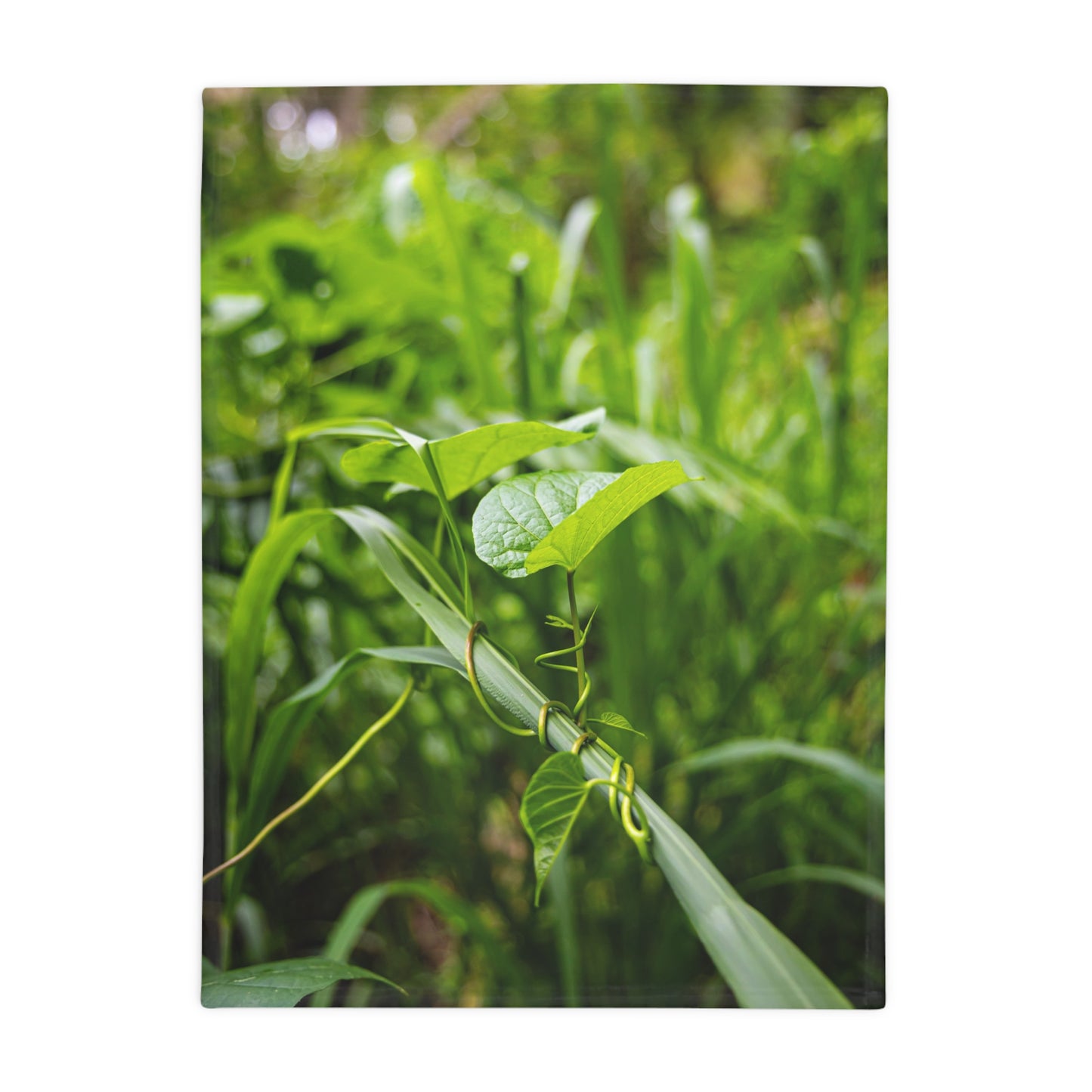 Fiji Vine Blanket 30" × 40"
