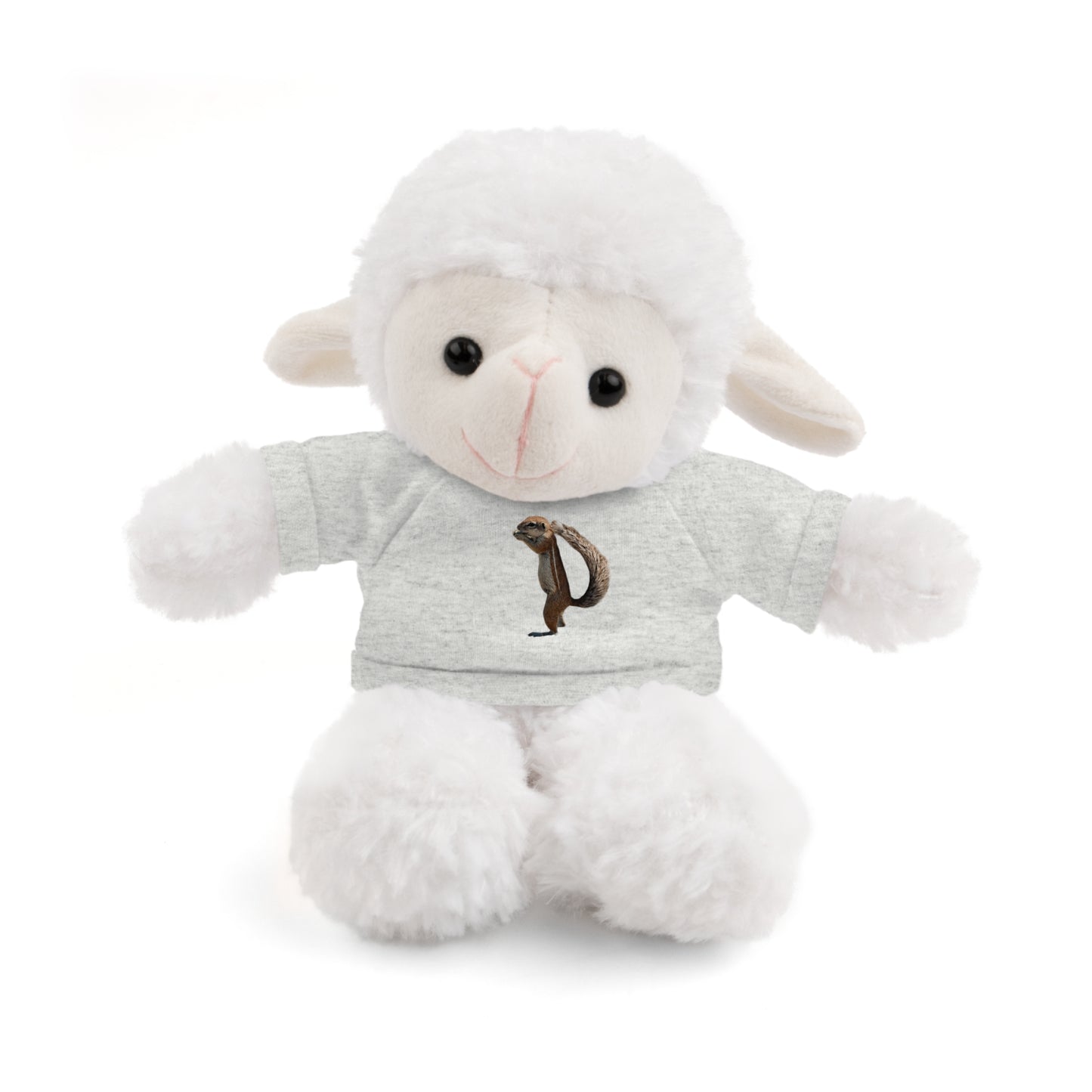 Teddy Bear with Tee