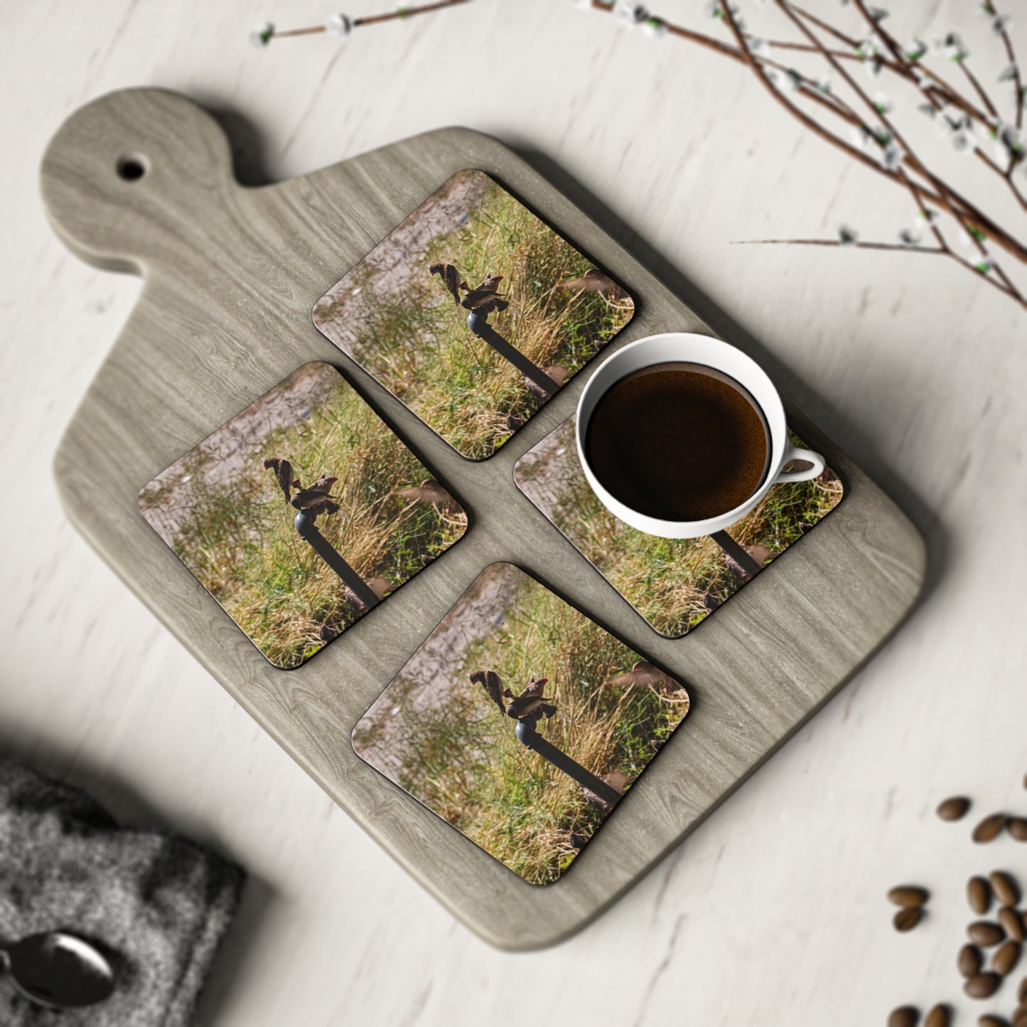 African Birds Coasters