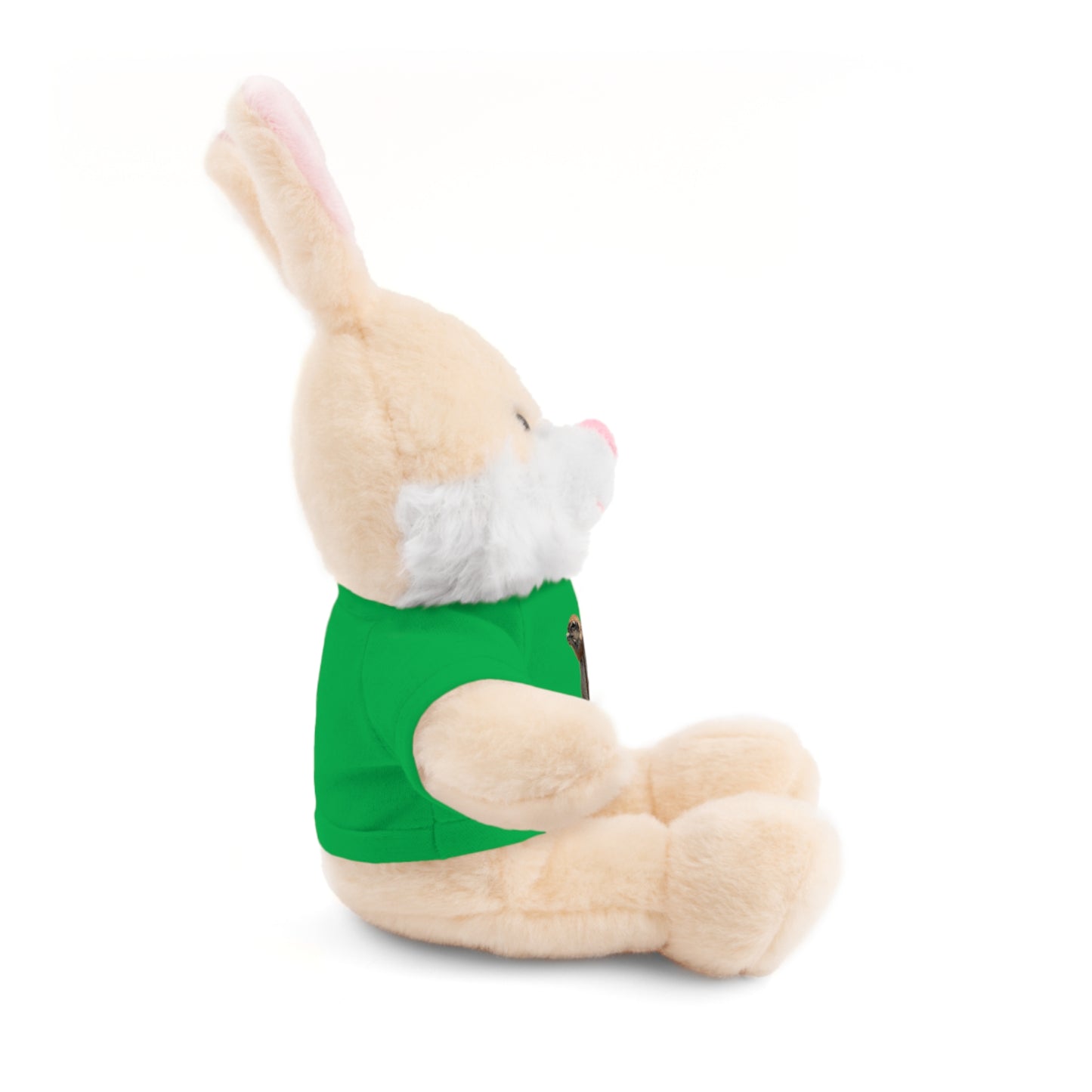 Teddy Bear with Tee