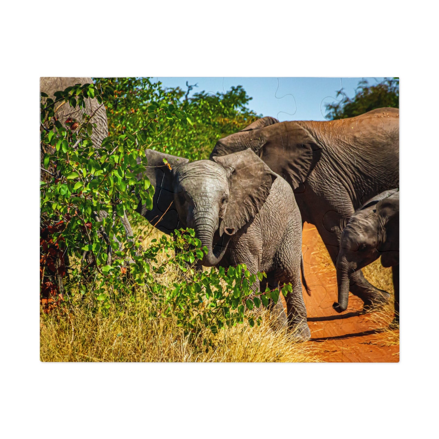 Young Elephant Jigsaw Puzzle with Tin