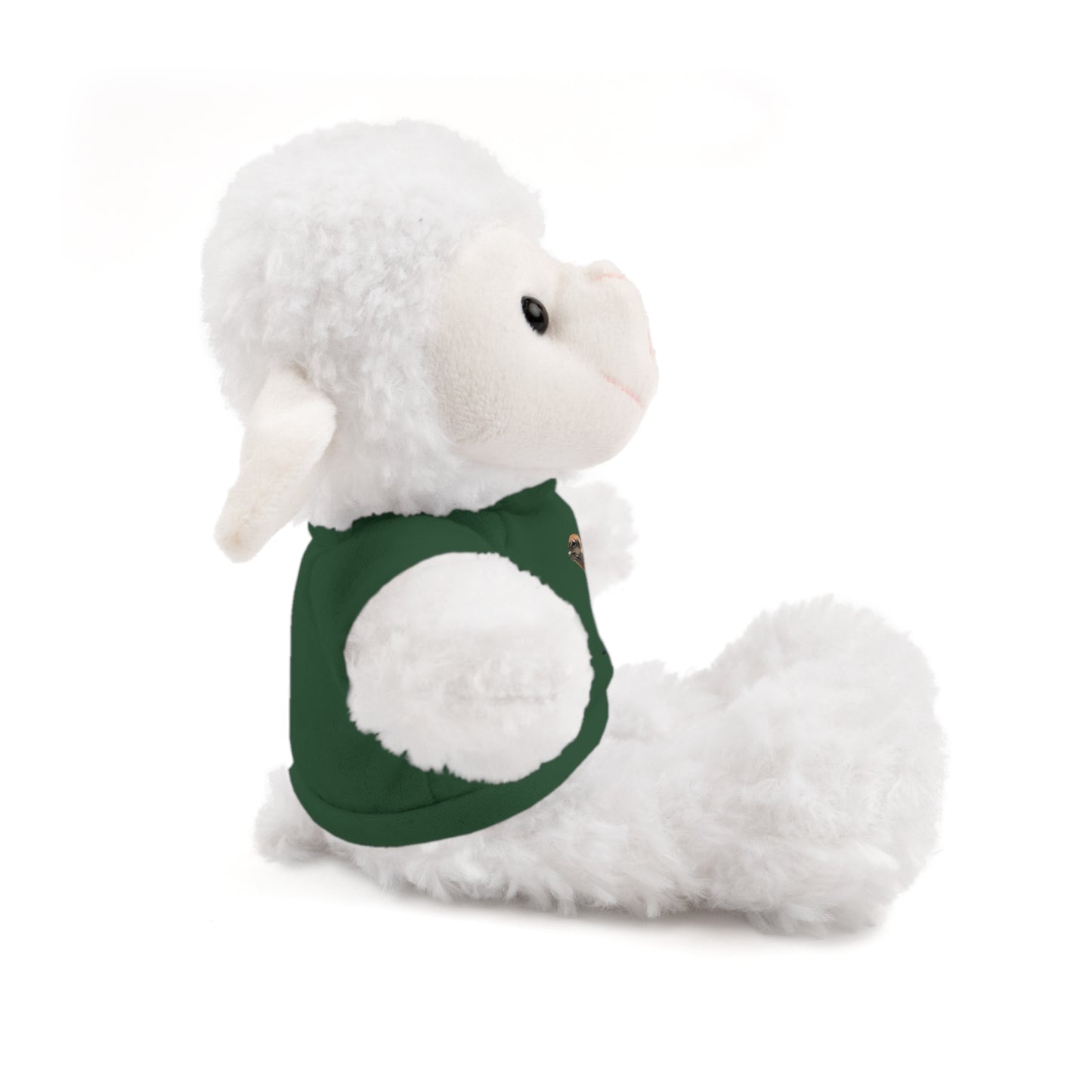 Teddy Bear with Tee
