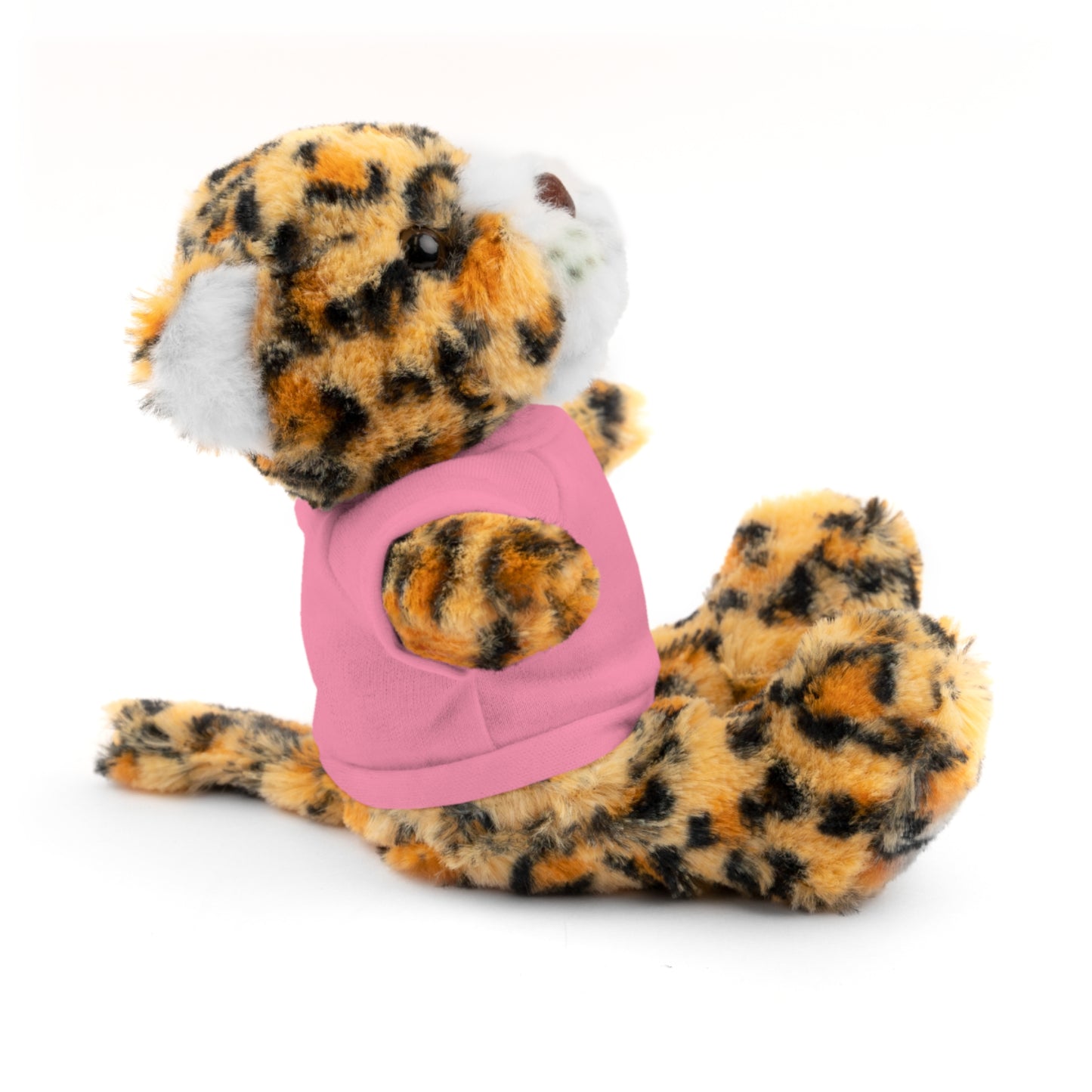 Teddy Bear with Tee