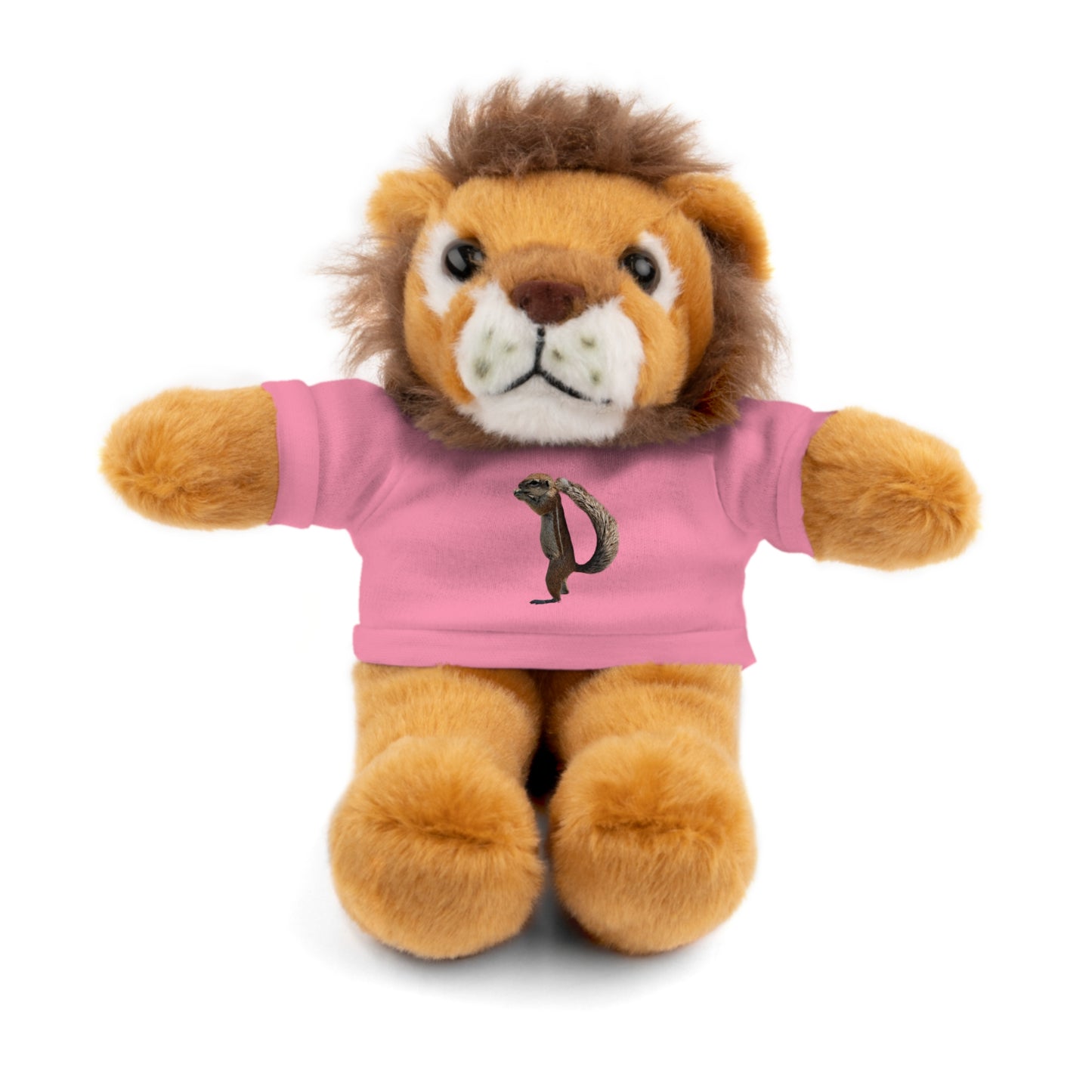 Teddy Bear with Tee