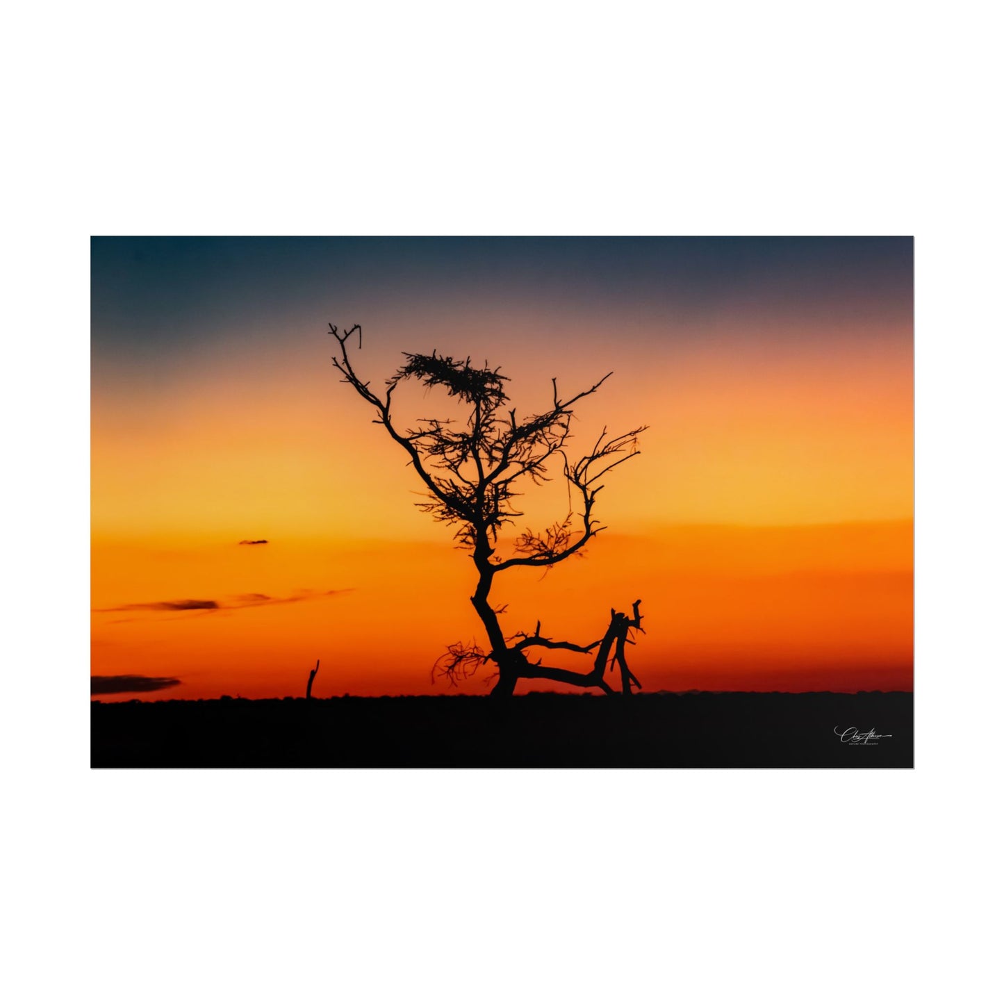 Rolled Posters - Sunset over the Kalahari